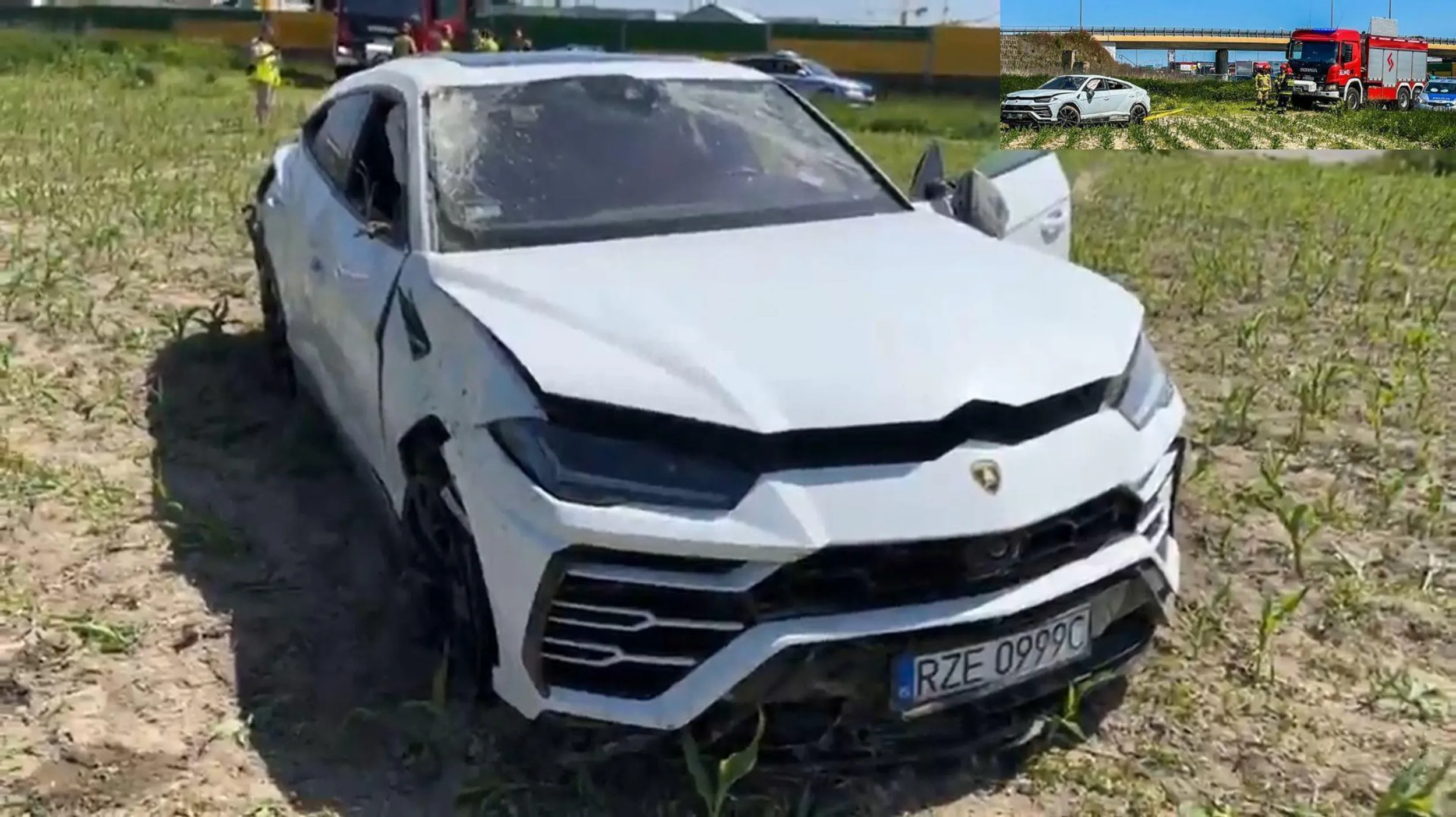Lambo Urus w kukurydzy