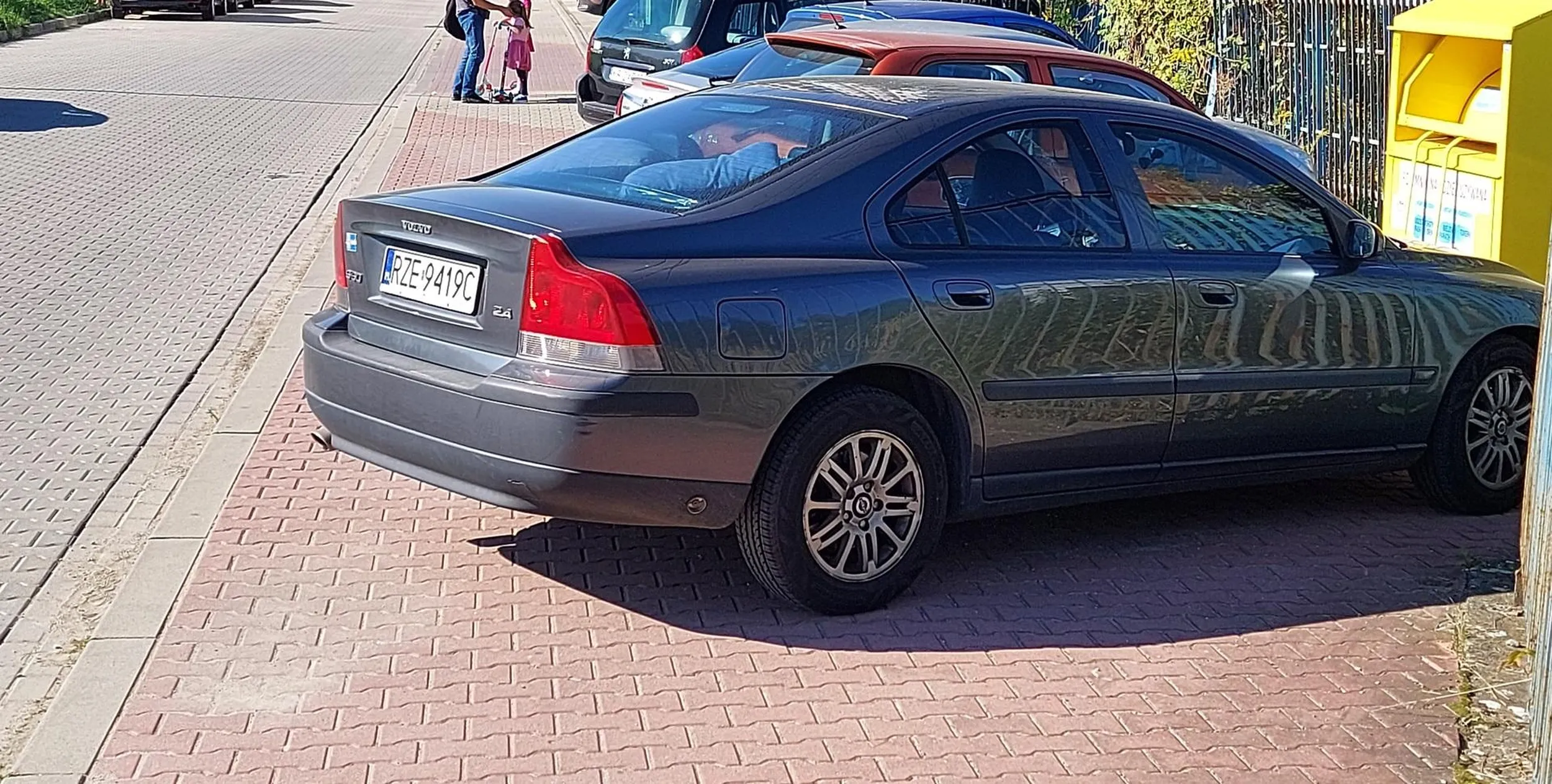 Buc zastawił cały chodnik