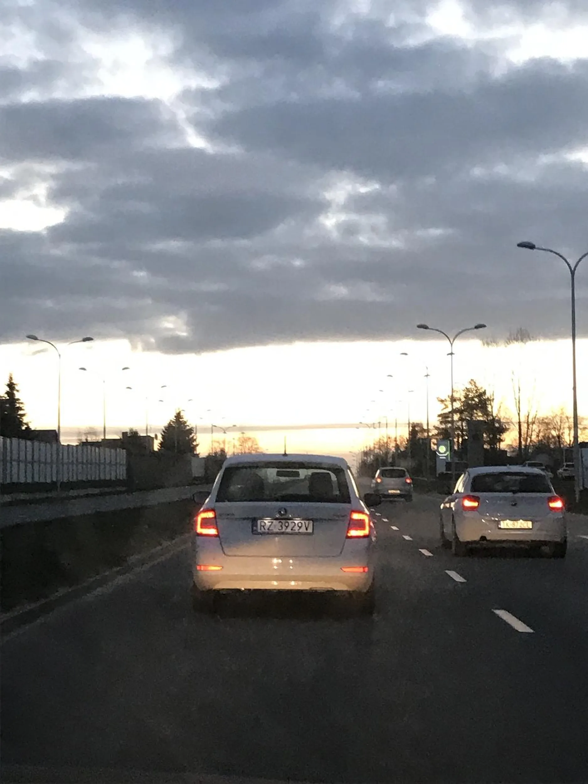 Wsza na drodze, ćwicząca ludzką cierpliwość.