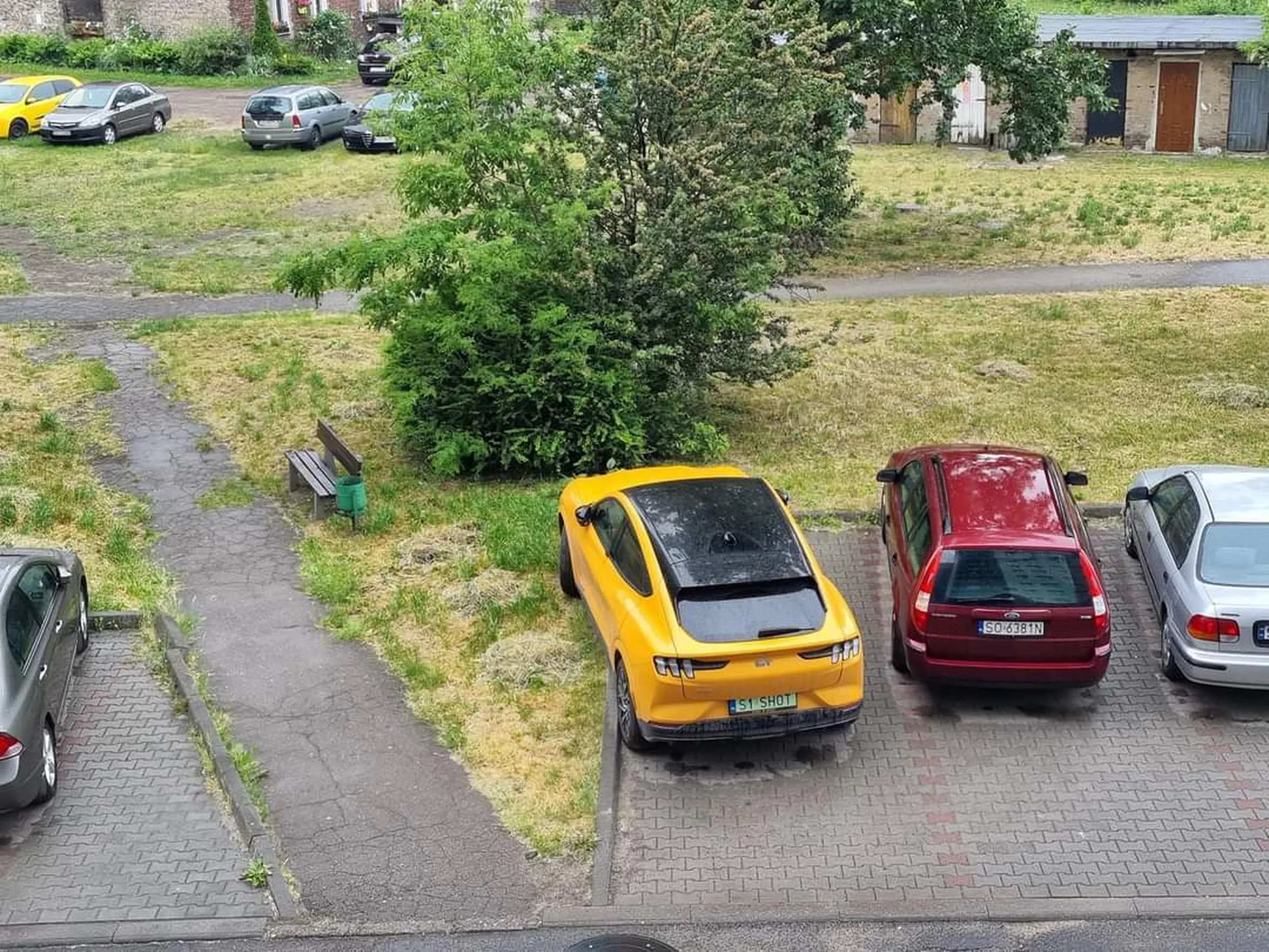 Mistrzyni parkowania