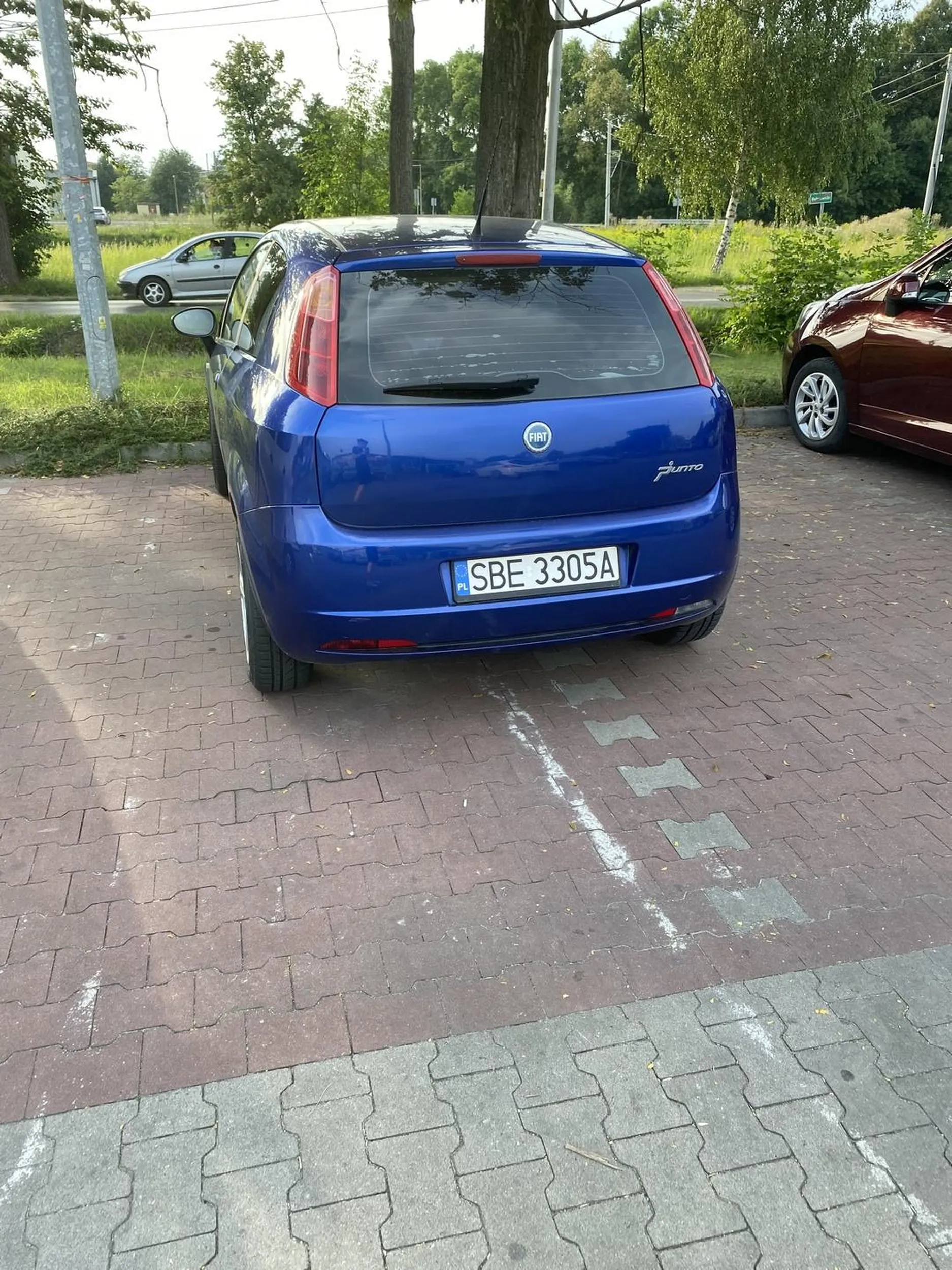 zawodowy kierowca i mistrz parkowania