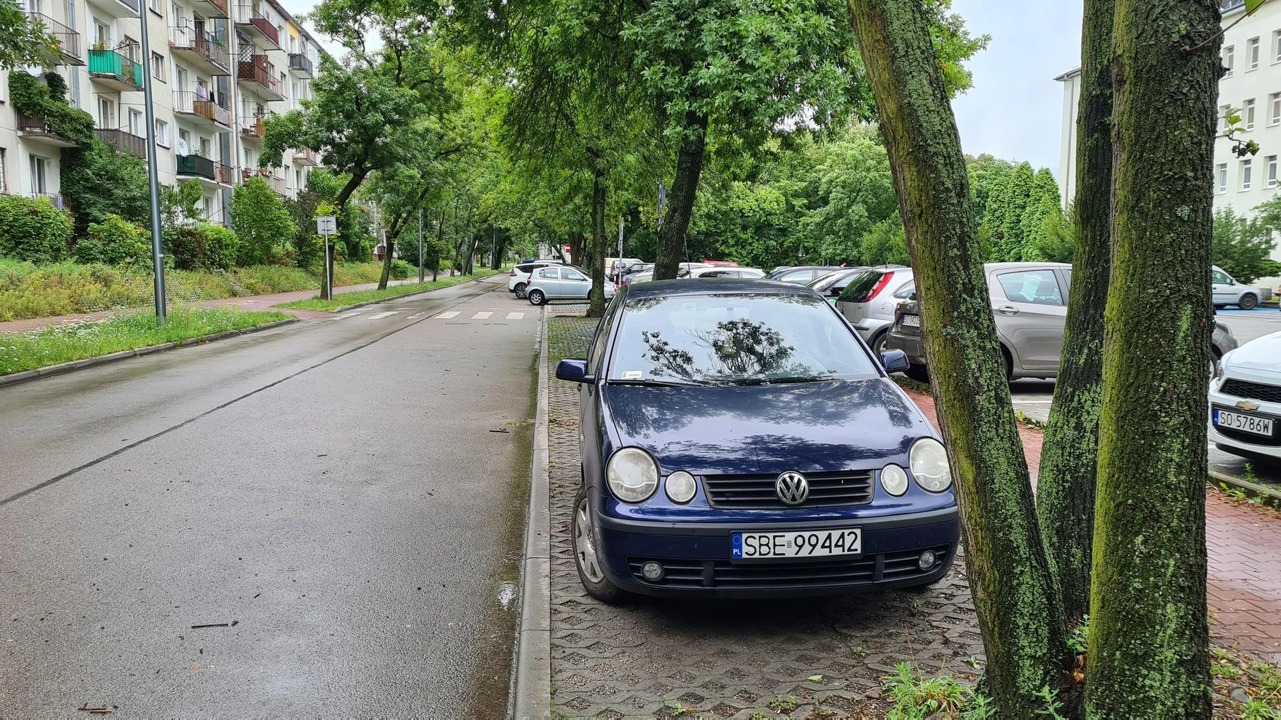 Wszyscy skośne, to ja sobie równolegle. A co? Będziński mistrz parkowania.