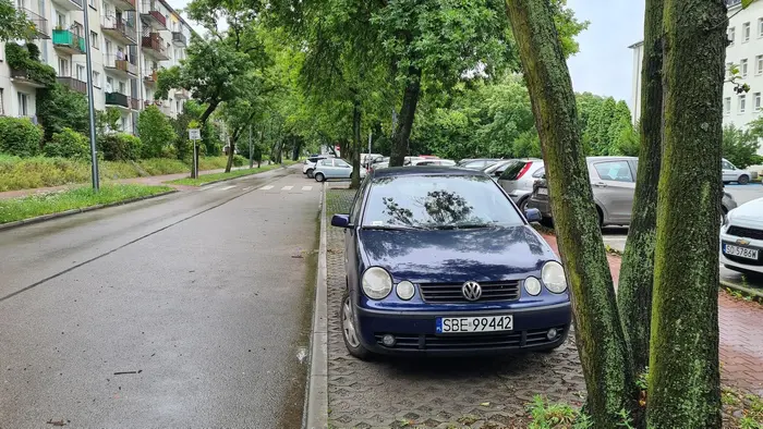 Wszyscy skośne, to ja sobie równolegle. A co? Będziński mistrz parkowania.