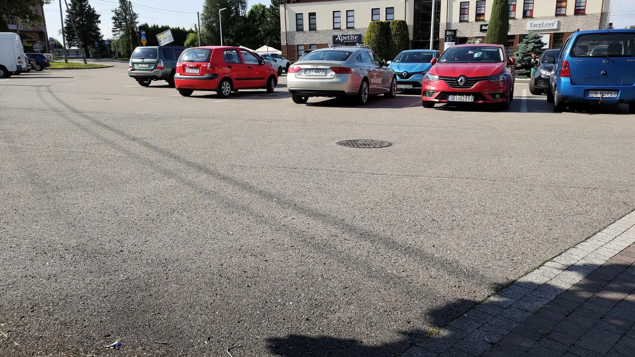 Mistrzyni parkowania ba dwóch miejscach