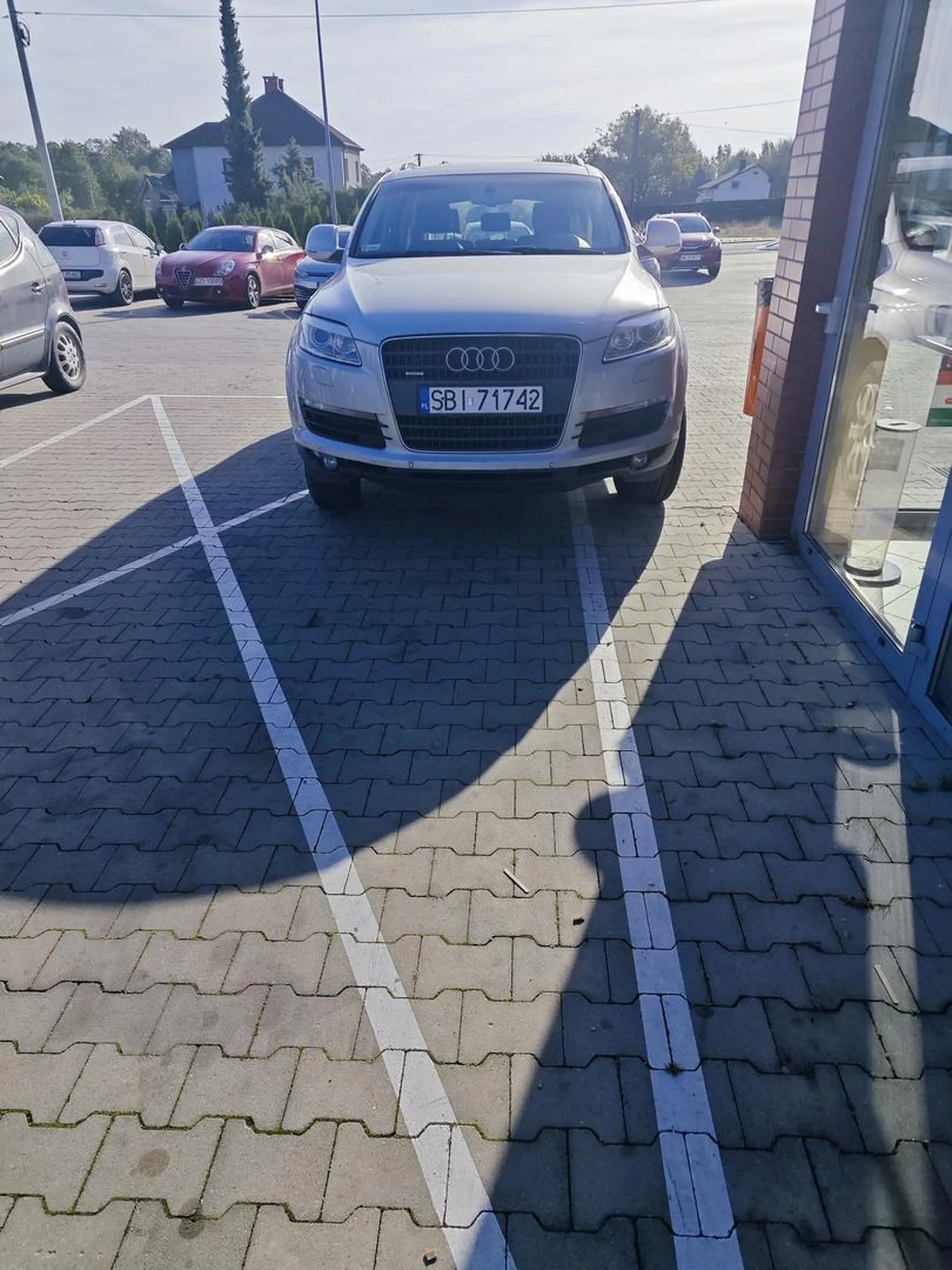 Nic dodać nic ująć. Święta krowa.