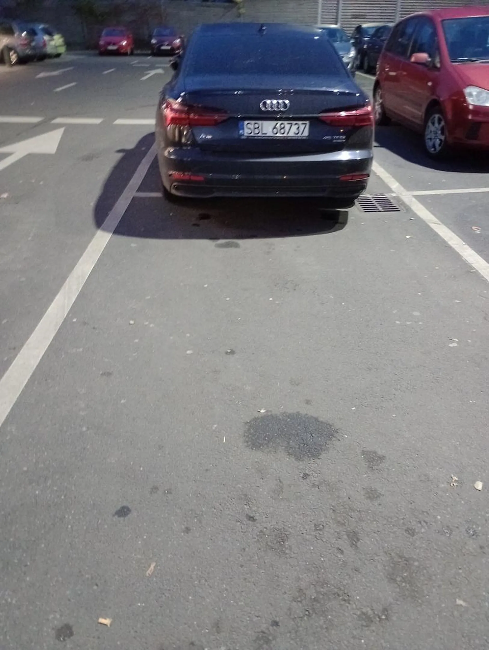 Kolejny ślepy samolub co parkuje na dwóch miejscach