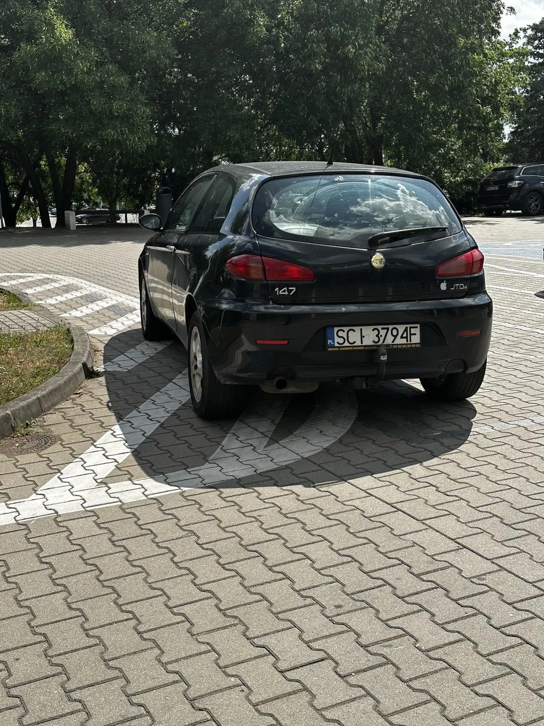 Kretyn nie potrafi parkować