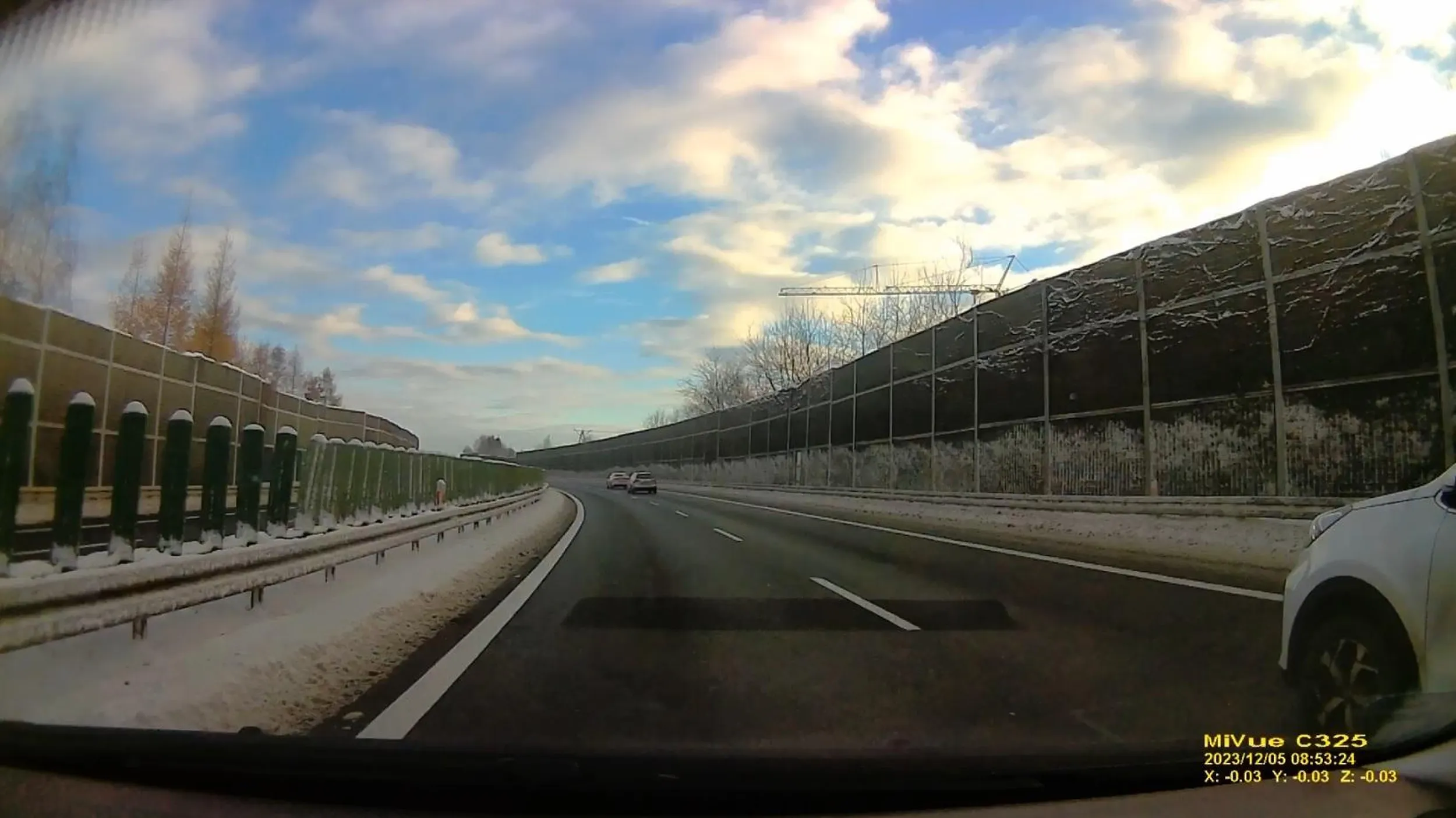 Typowy glonojad siedzący na dupie