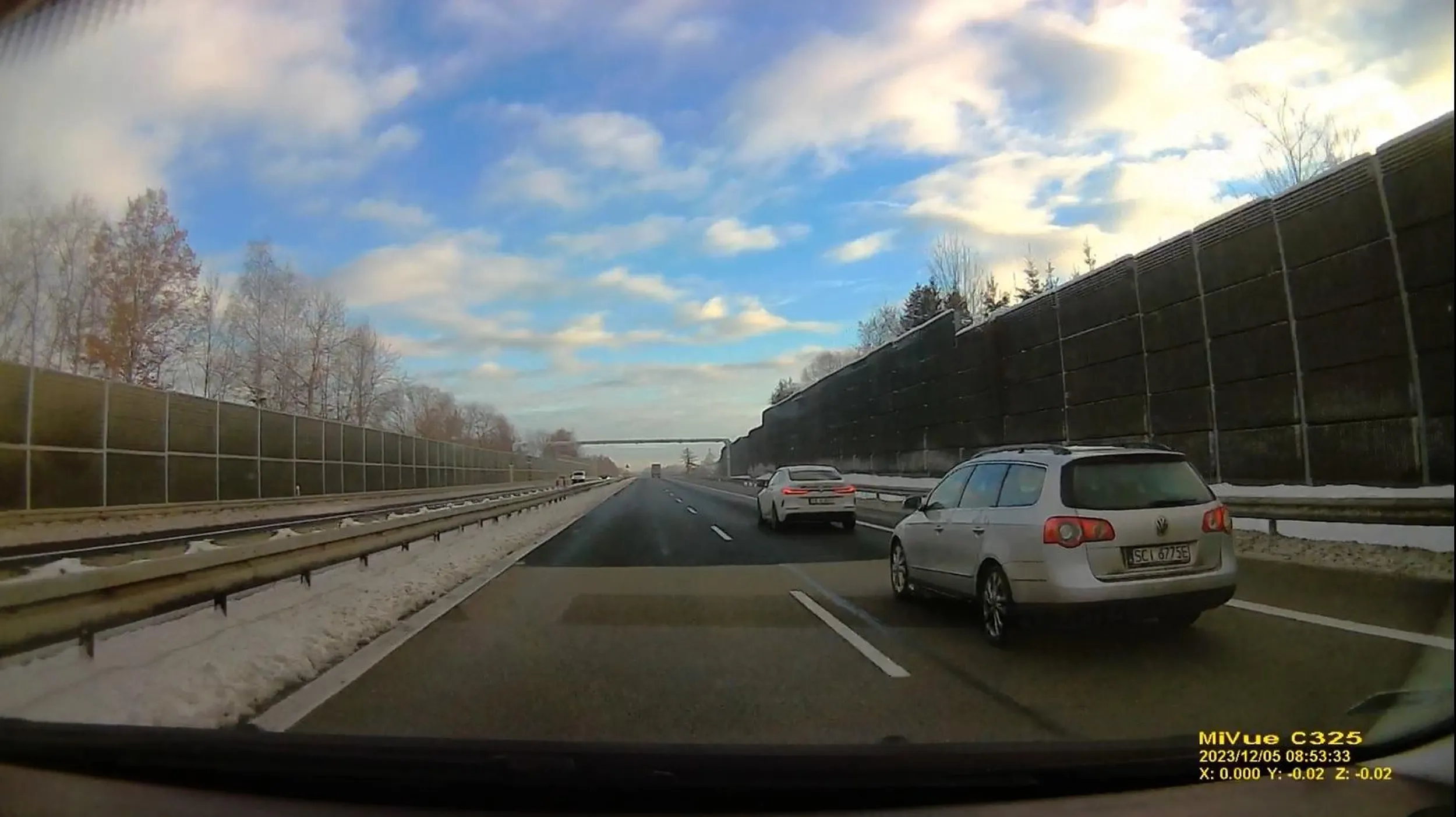 Typowy glonojad siedzący na dupie