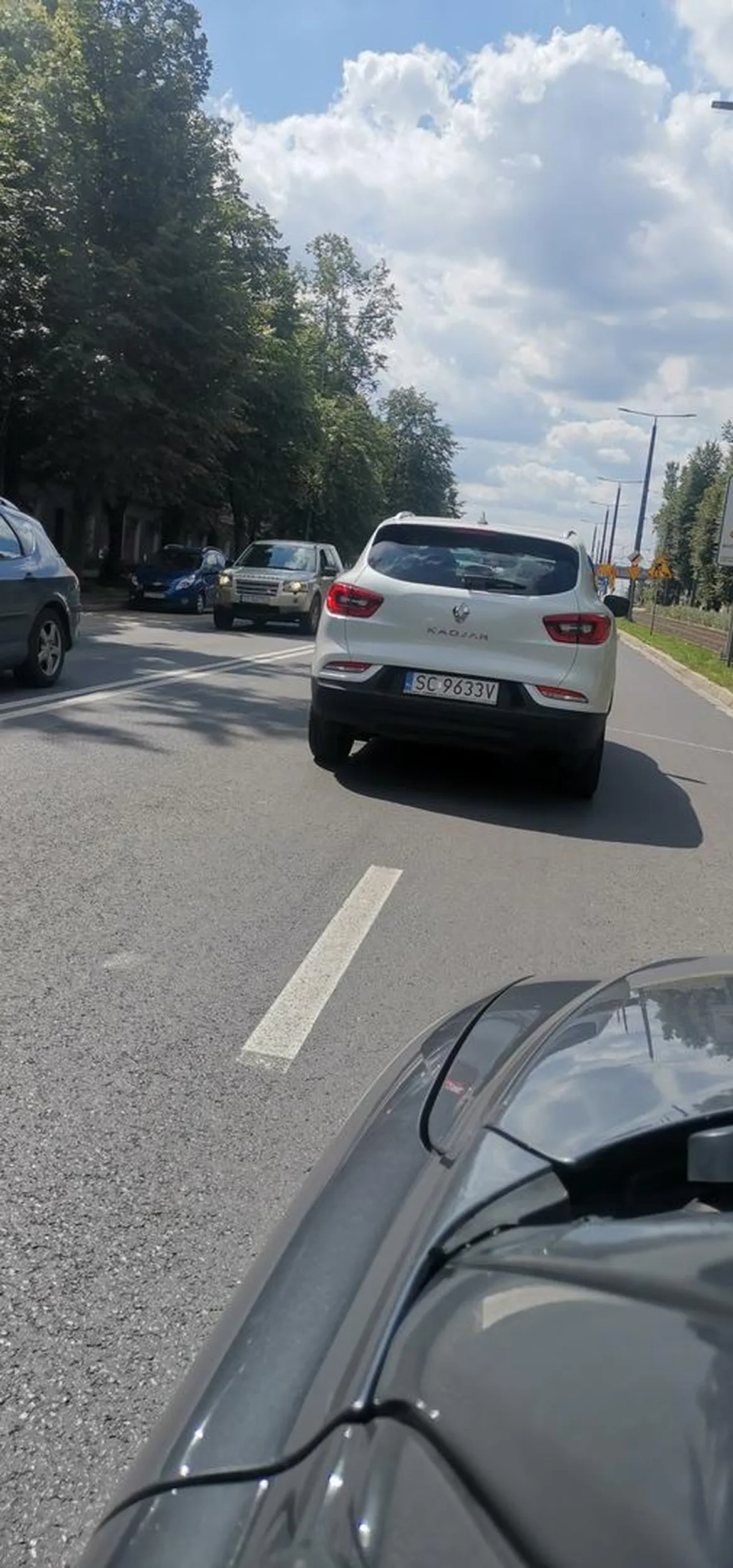 Bawi się w szeryfa! Blokuje drogę