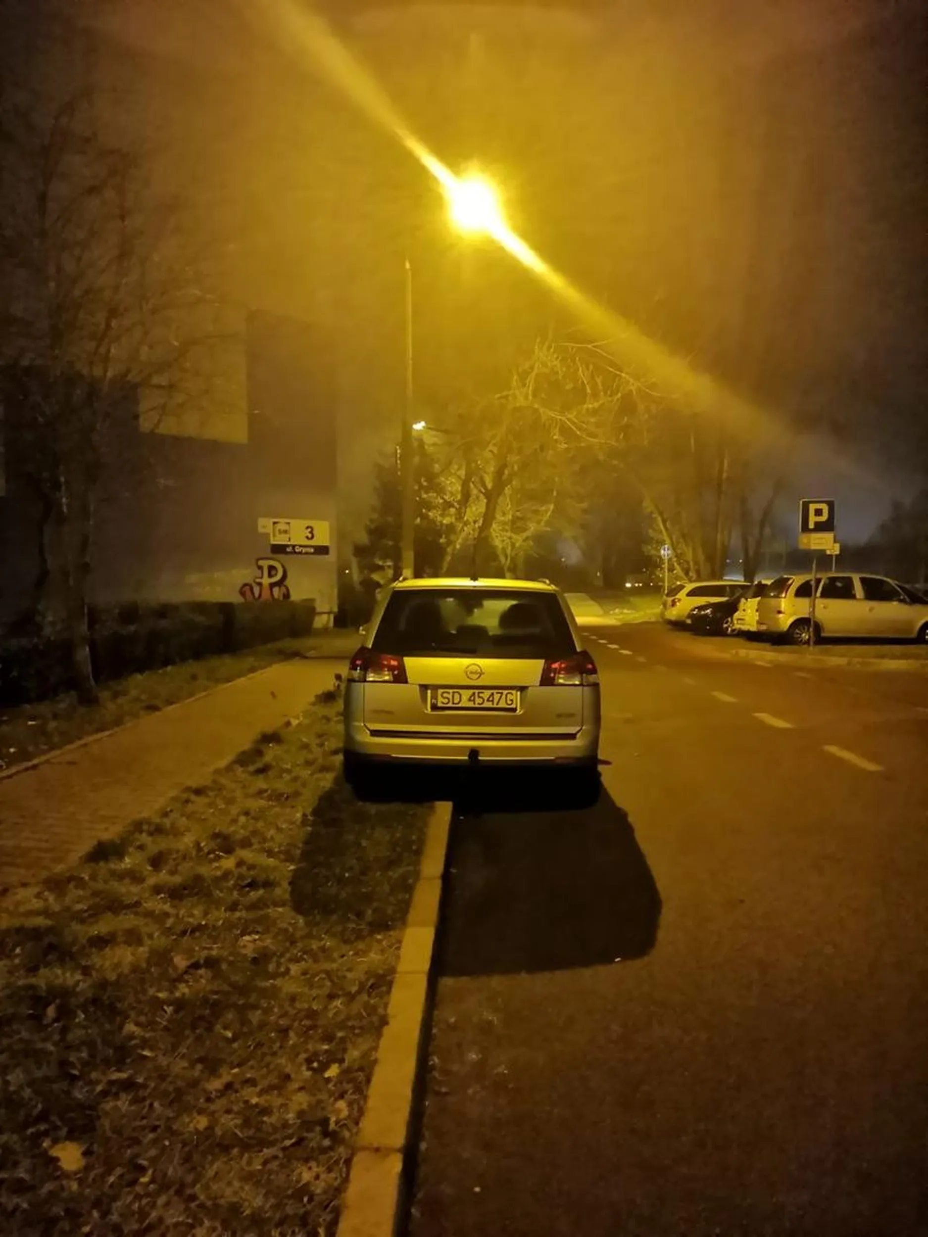 Kawałek trawniczka i kawałek ulicy przecież muszę gdzieś stać! 20.12.2020