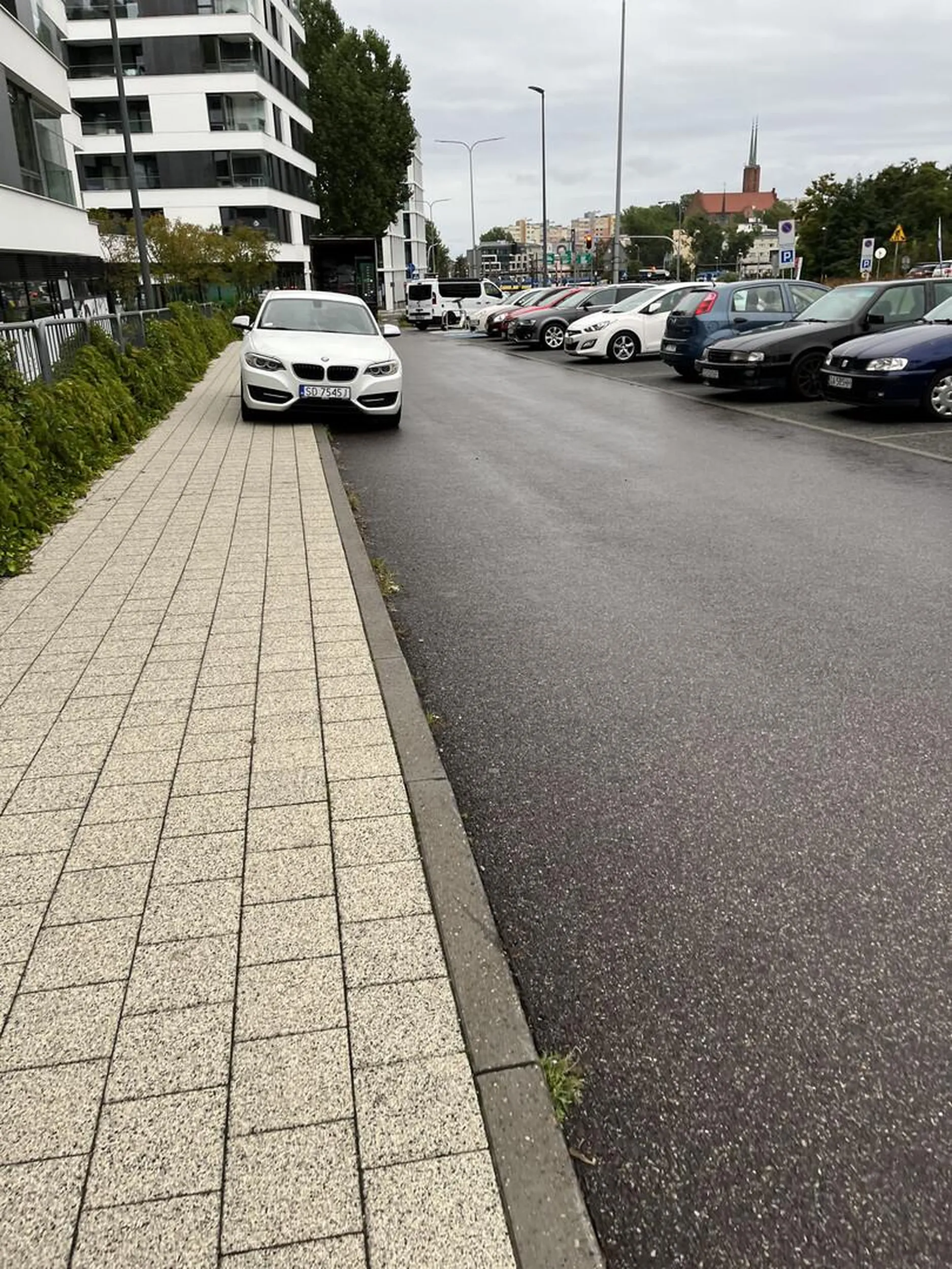 Władczyni gdyńsich chodników