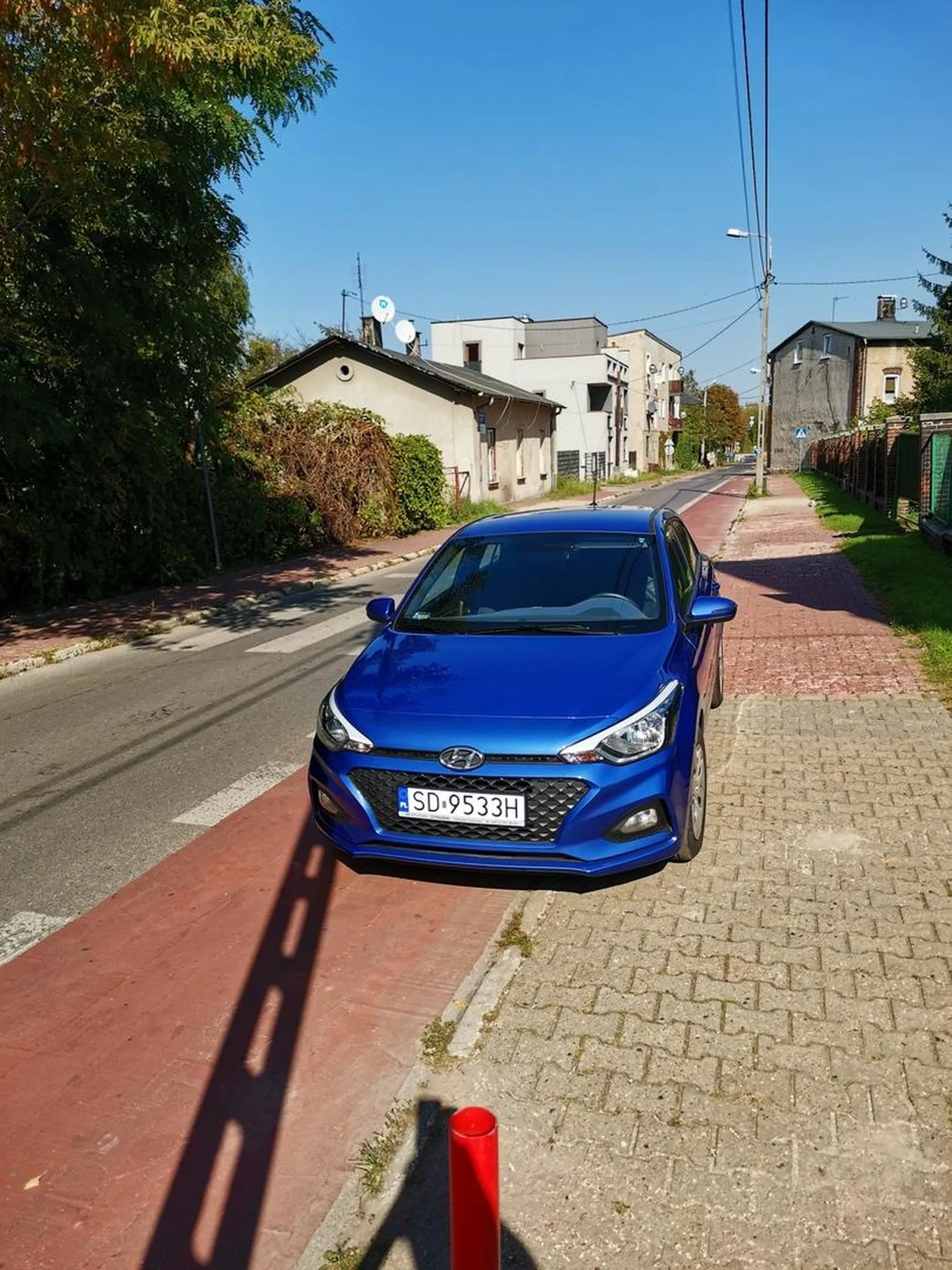 Na srodku drogi rowerowej! 22.09.2020