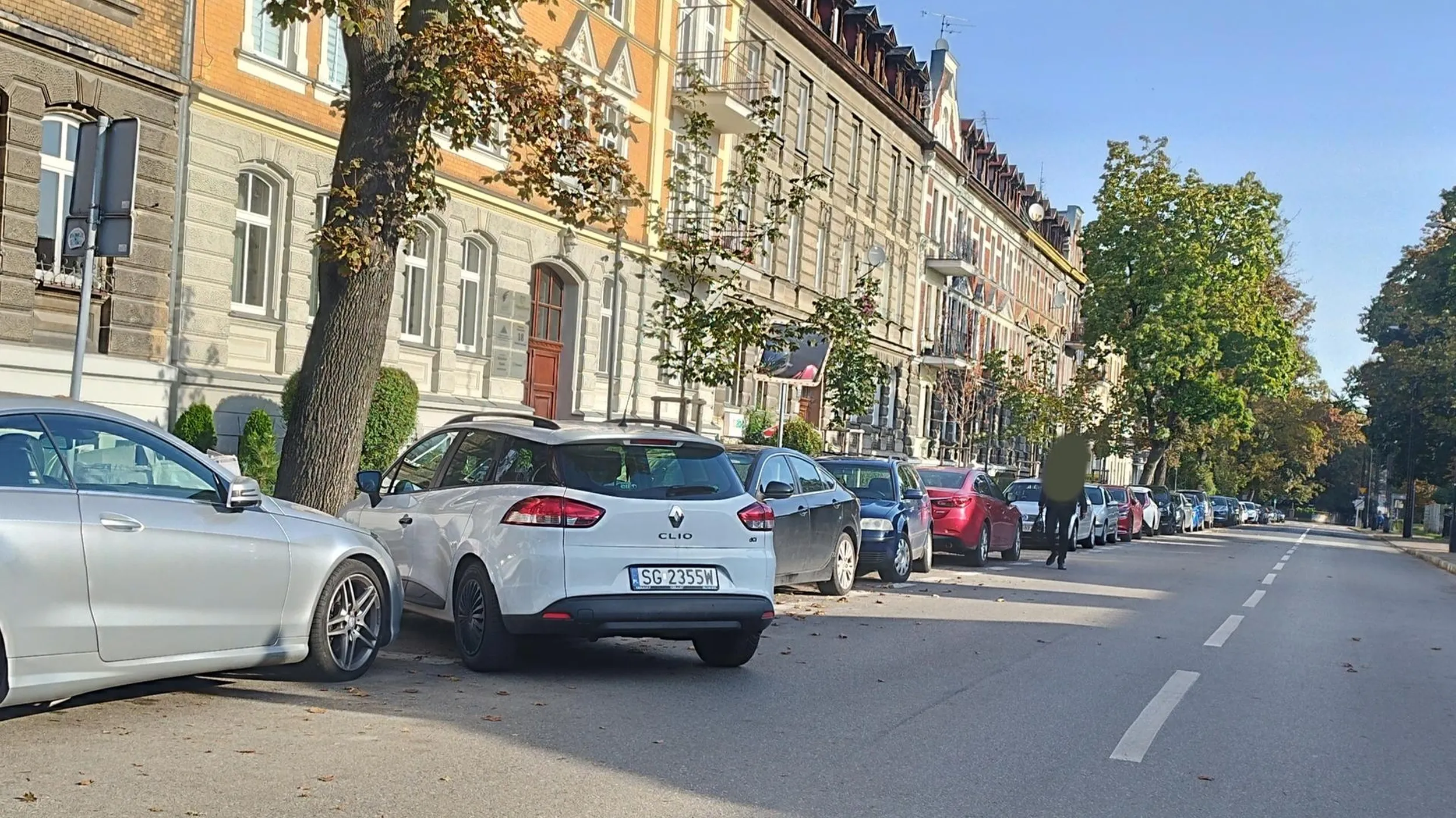 Miszcz parkowania...