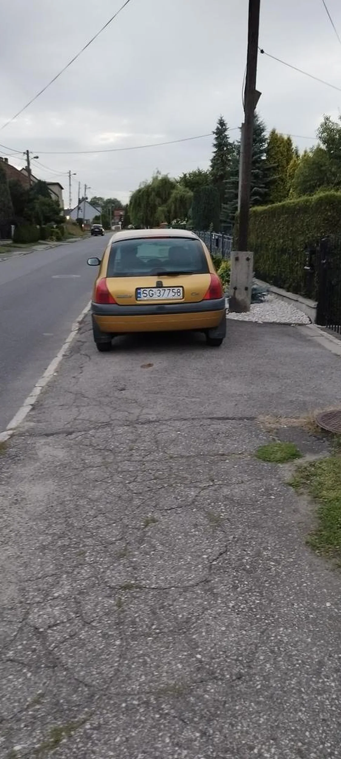 Brawo ! Przecież chodnik jest mój !