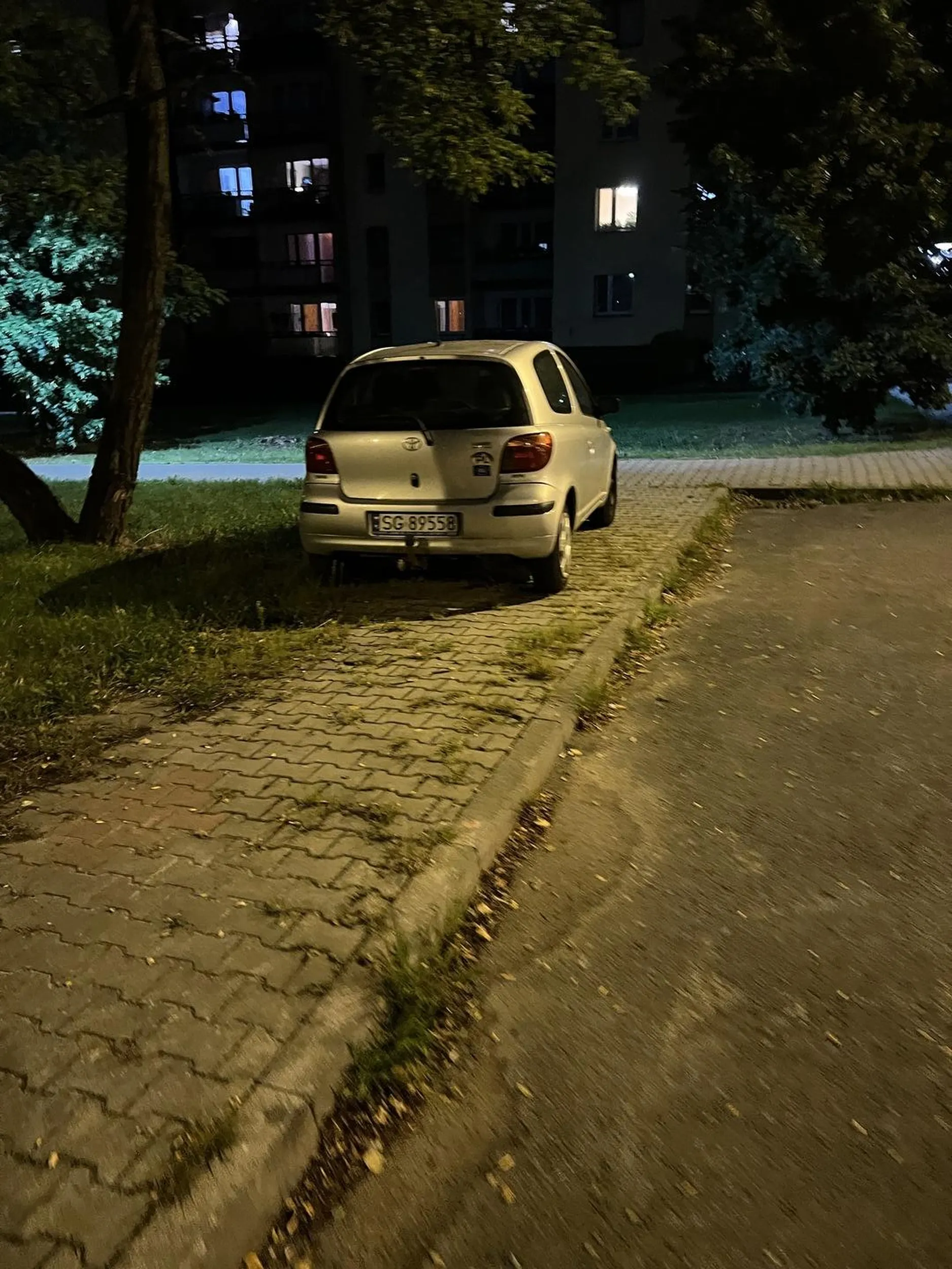 Król/królowa parkowania na chodniku