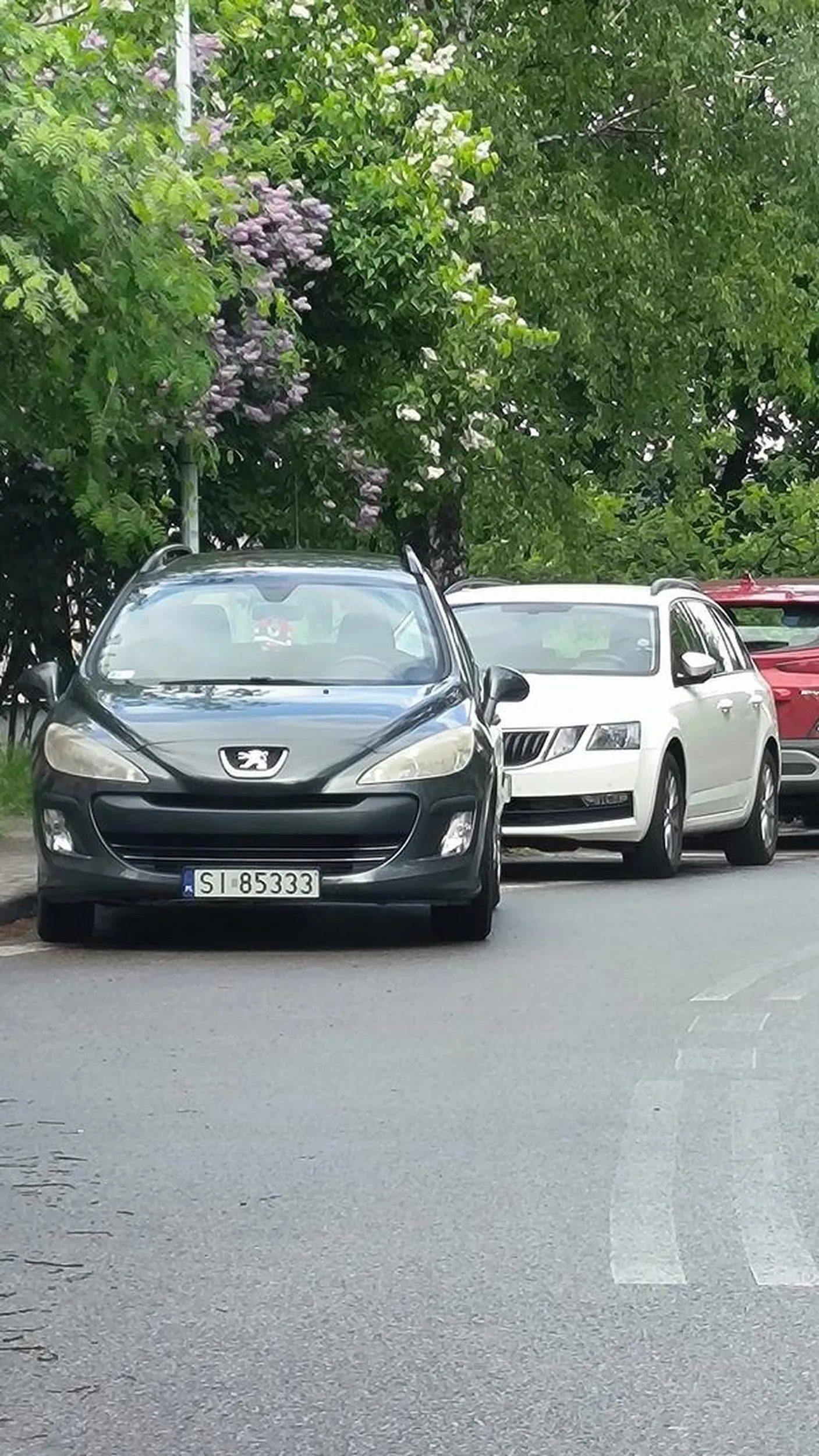 Parkowanie na strefie wyłączonej z ruchu i przy podwójnej ciągłej. Brawa dla Pana!!! Choć kawałek dalej miejsca na parkingu wolne. Chylę czoła :)))