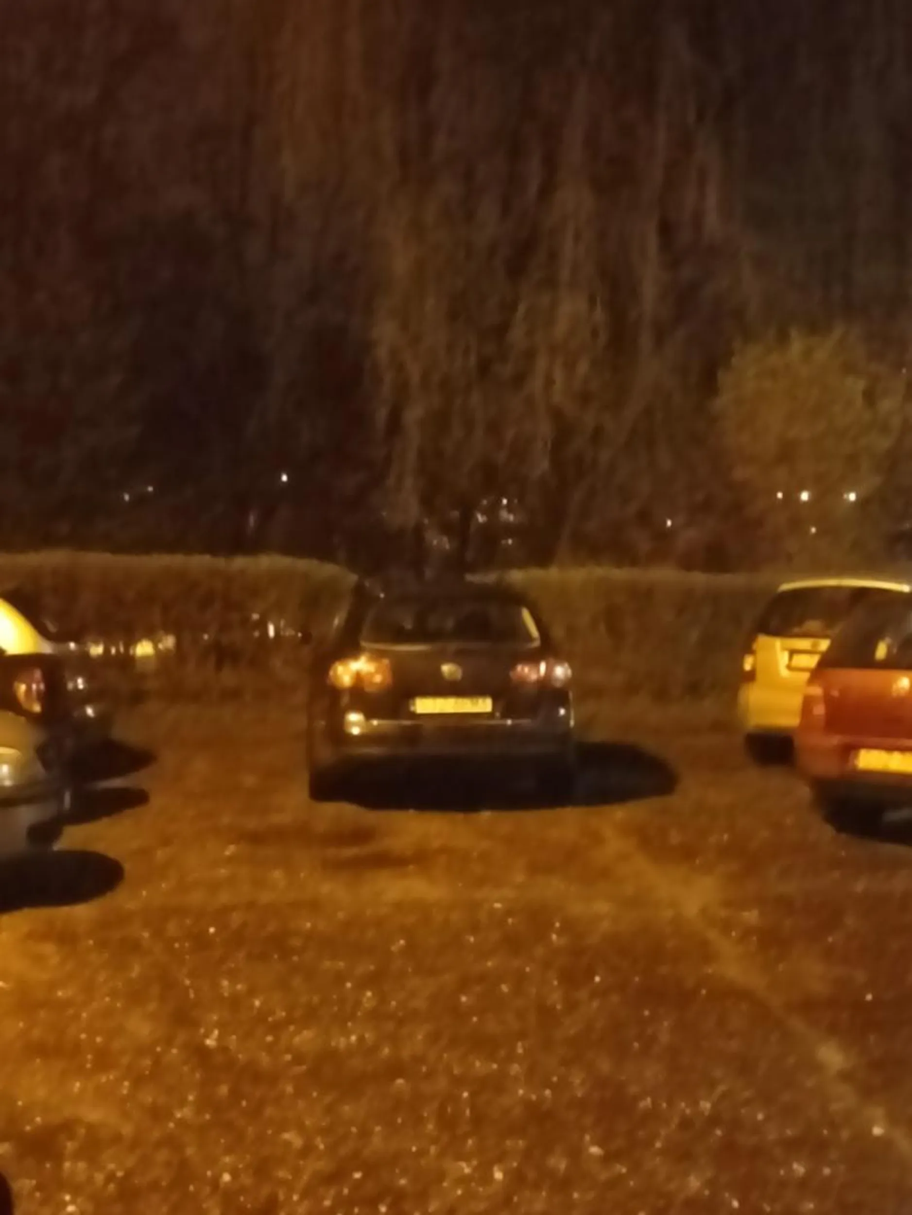 Czysty kretyn. Zablokował samochody z nocy na sobote. Nie myśląc o innych. Brak mózgu