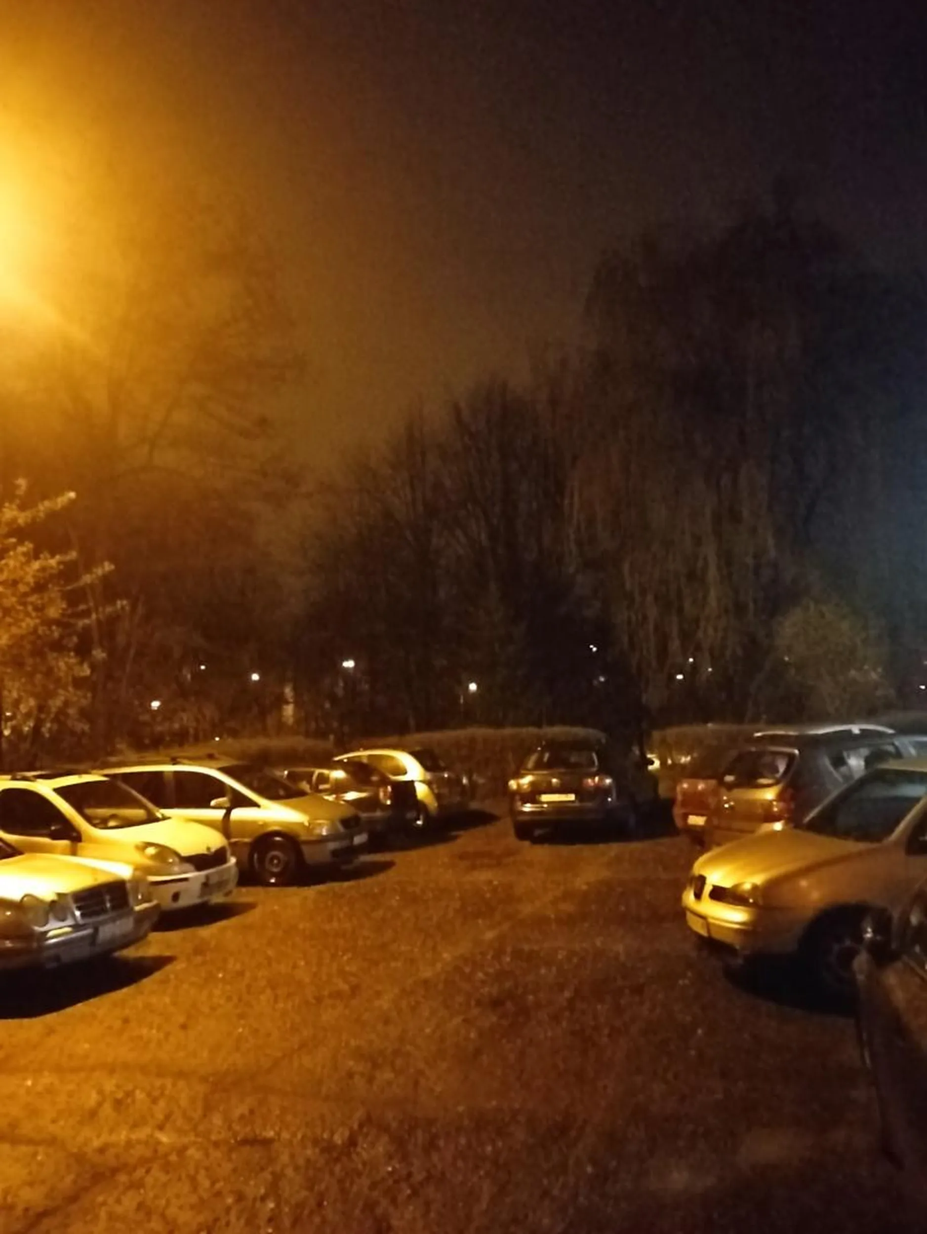 Czysty kretyn. Zablokował samochody z nocy na sobote. Nie myśląc o innych. Brak mózgu