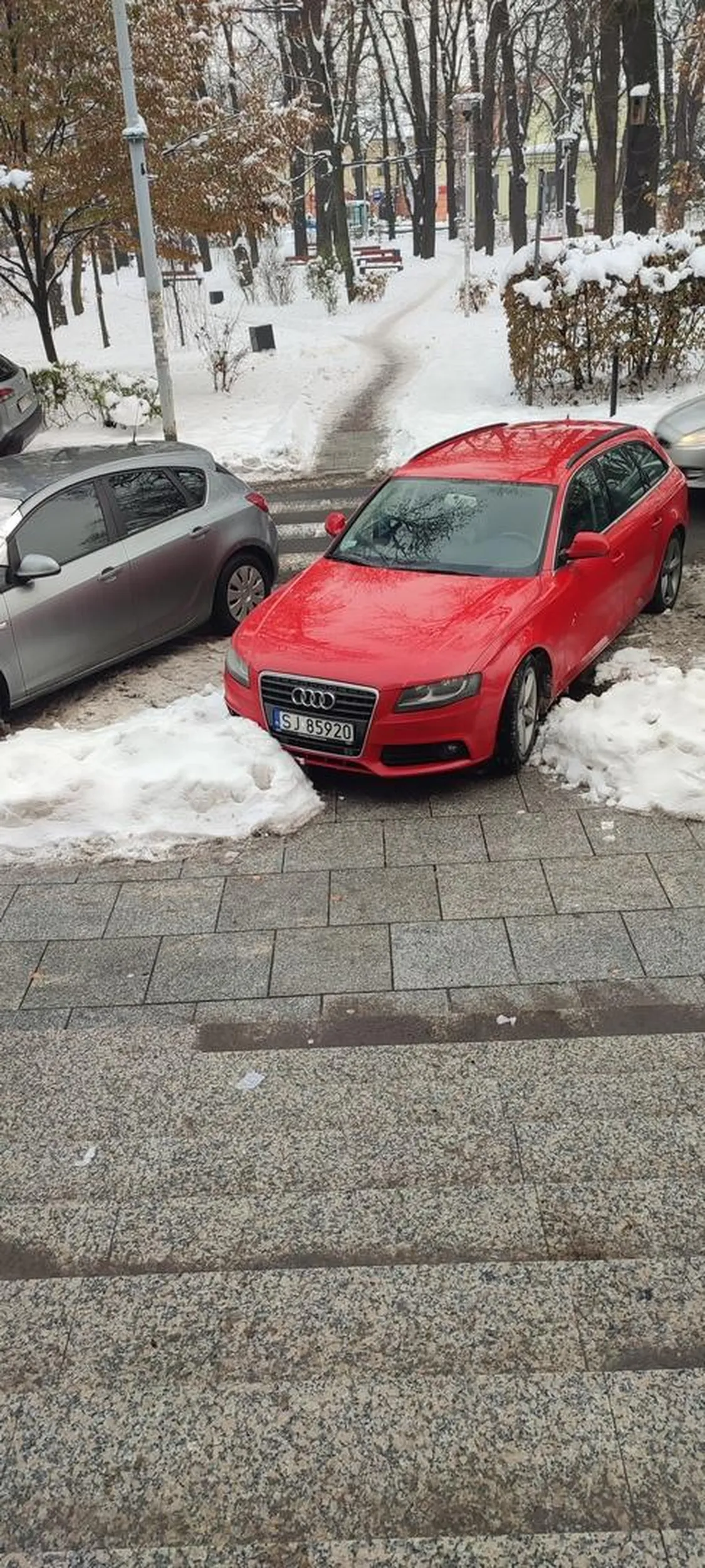 Pasy są dla pieszych!