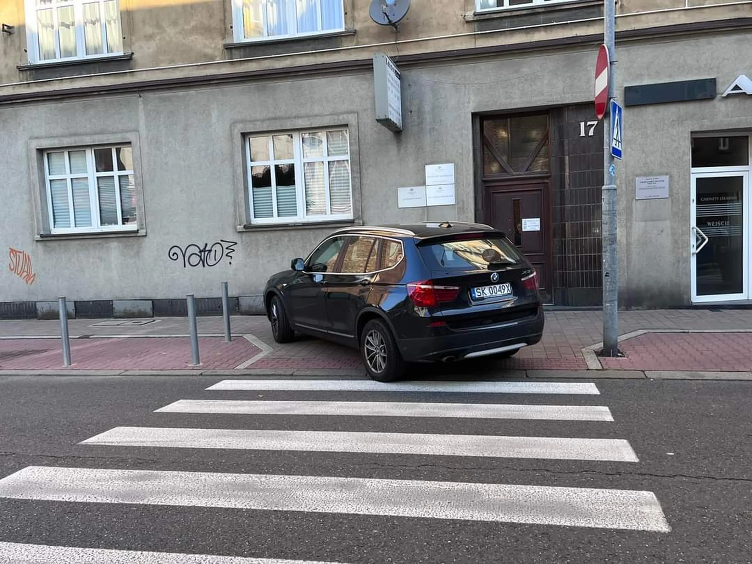 Piękny obraz buraka.