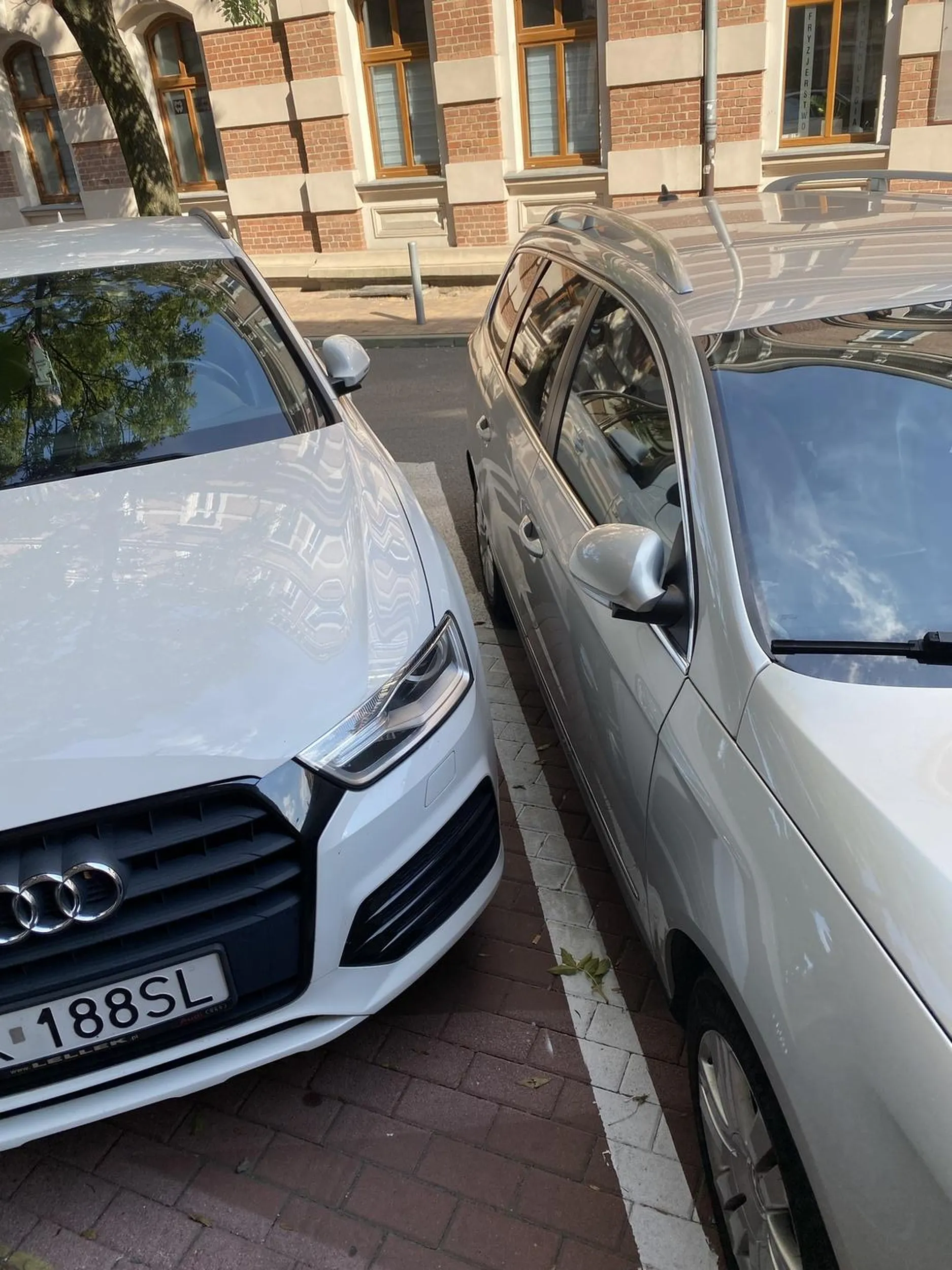 Mistrzyni parkowania