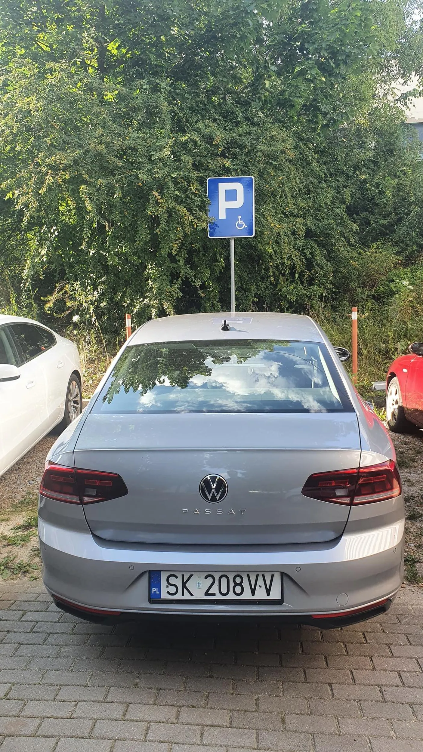 Parkowanie - poziom ekspert. Cwaniactwo - poziom ekspert. Inwalida jak widać tylko umysłowy.