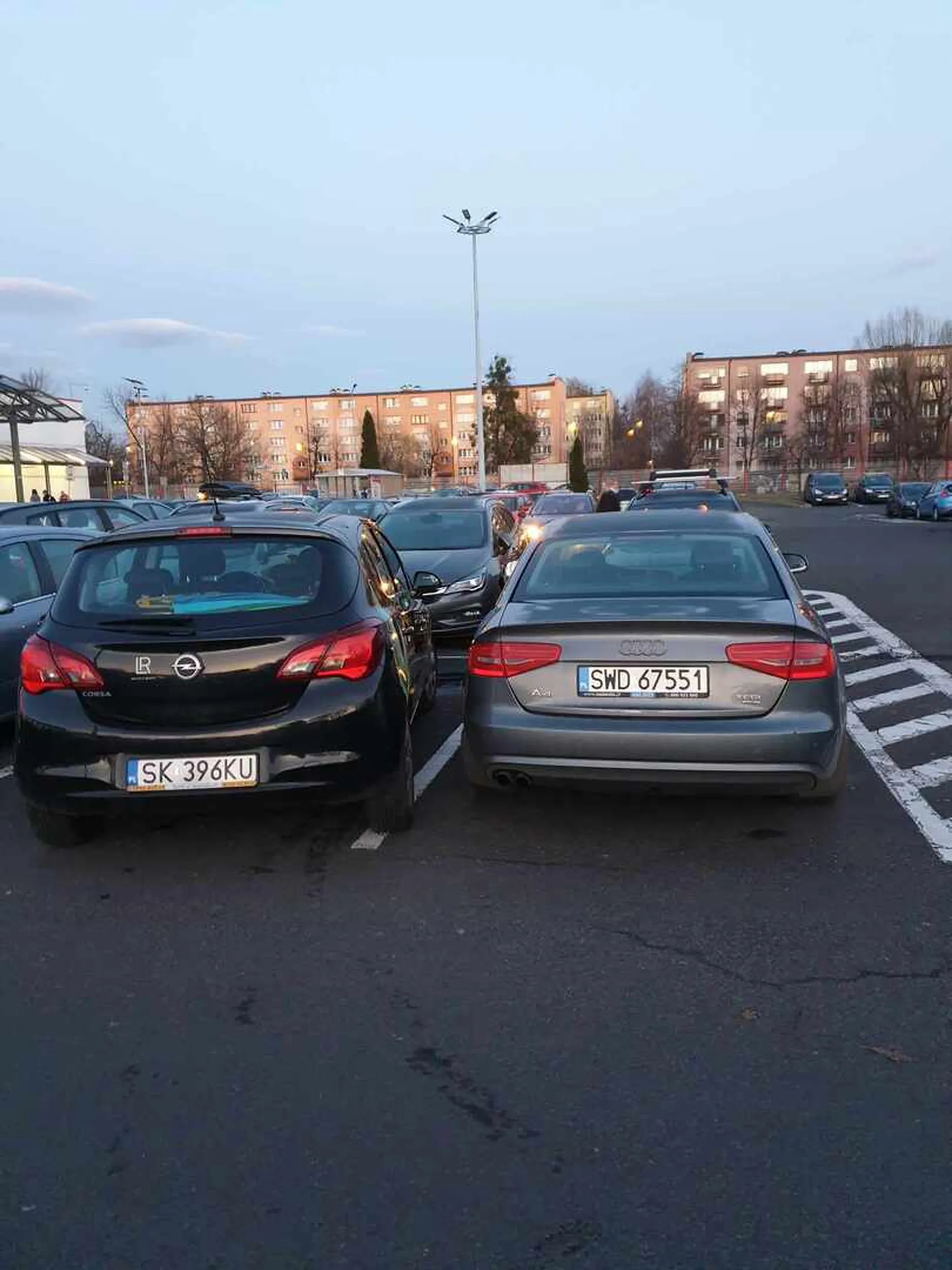 Prawo jazdy znalezione w chipsach. Powalające umiejętności parkowania samochodu.