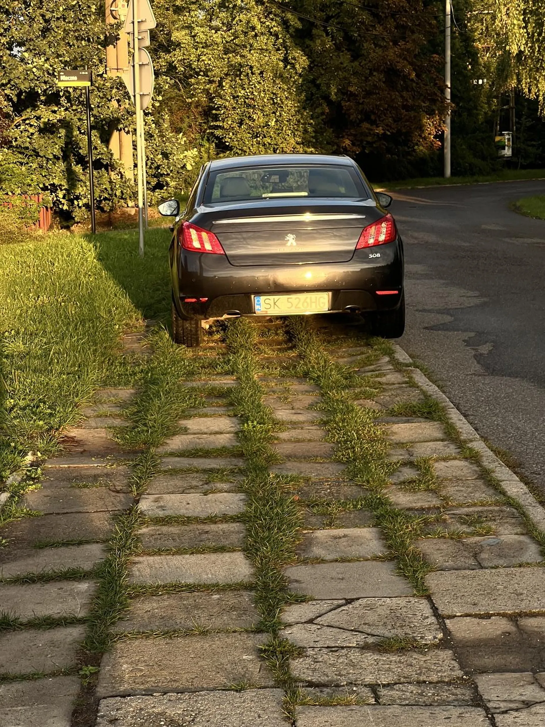Na chodniku się nie staje, ale rozumiem, ciężko jest stanąć dalej i tyłek ruszyć. Zgłoszono na SM.