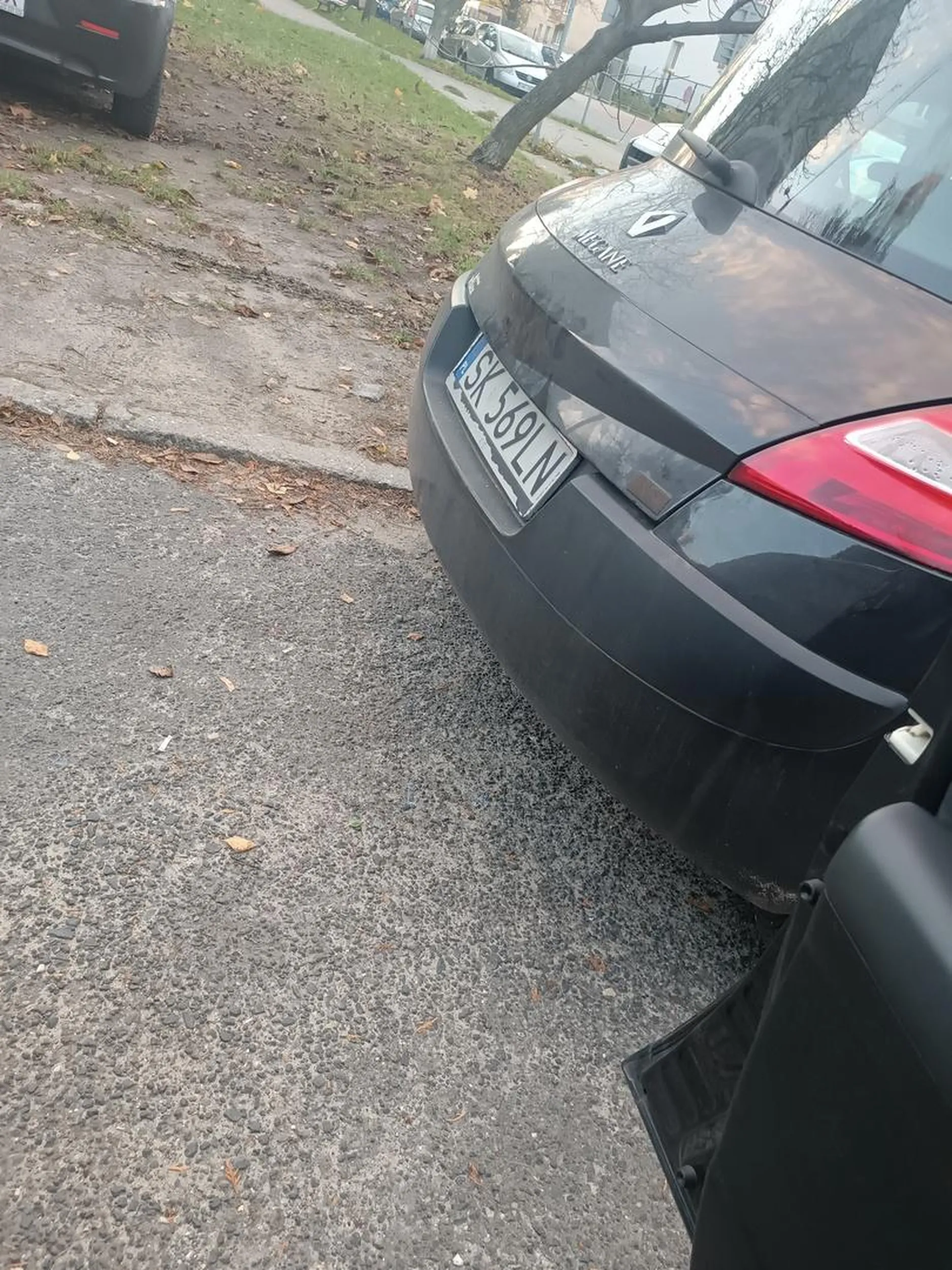 Kolejny półmózg zastawiający bramę.