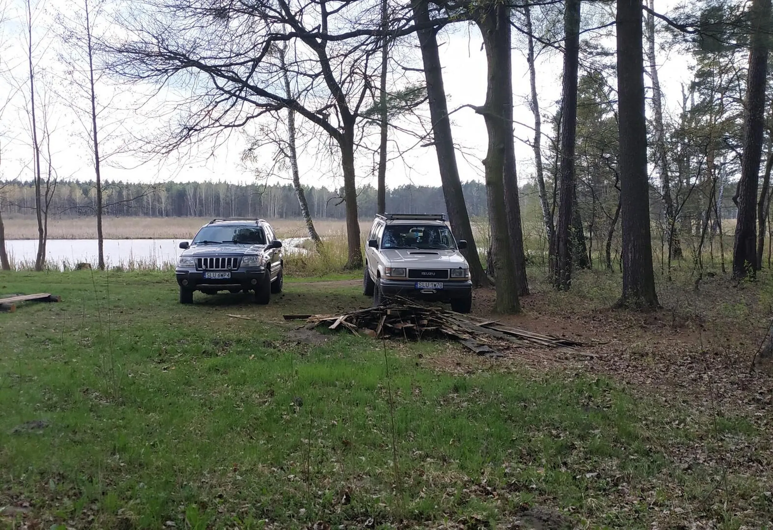 Buc wjeżdża do lasu, zakaz ruchu ma w d...