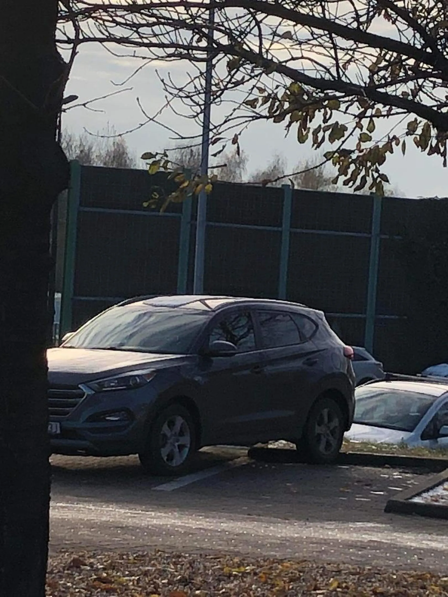 Mistrzyni Ruda Śląska