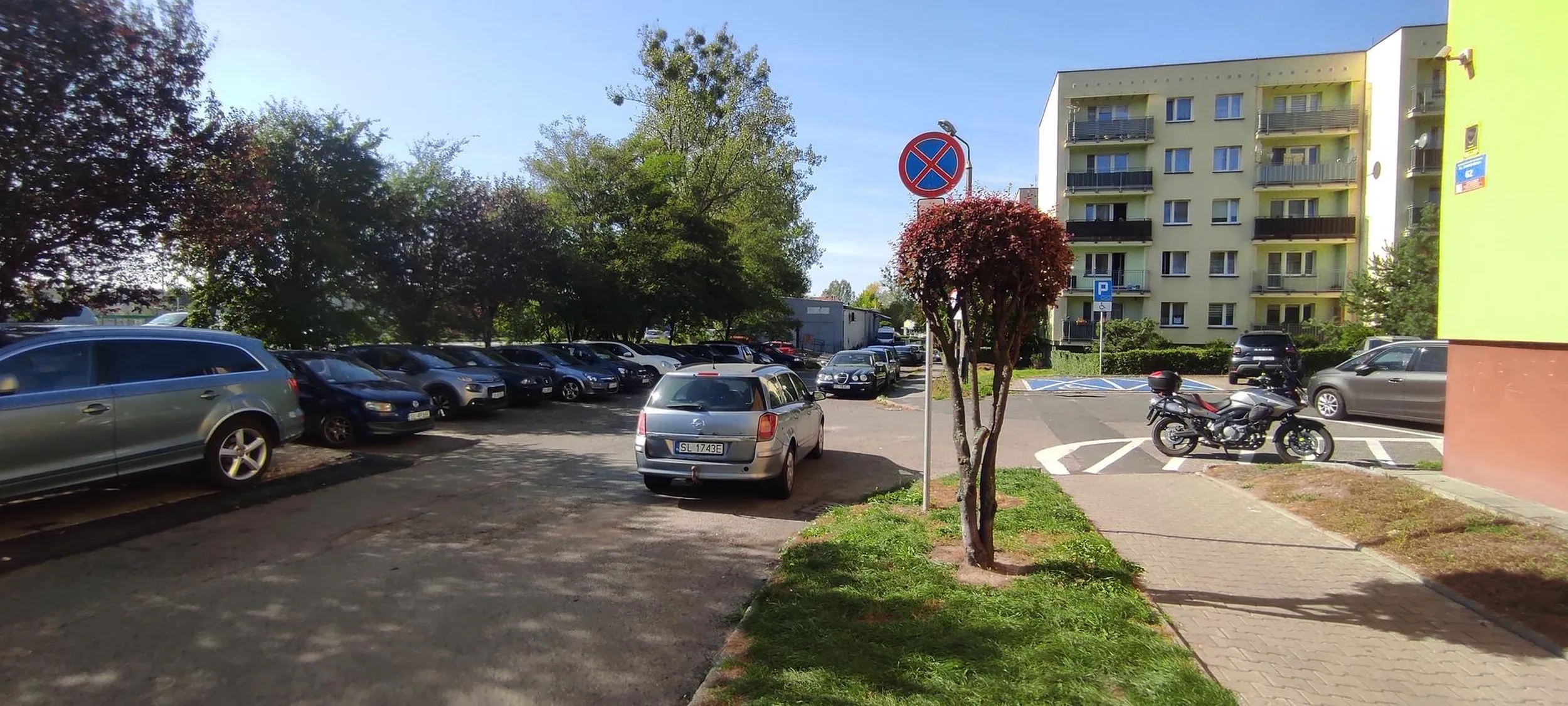 Miszcz szpady giętkiej... Zakaz zatrzymywania? No problem. Za znakiem już można, a że na środku? Phi...