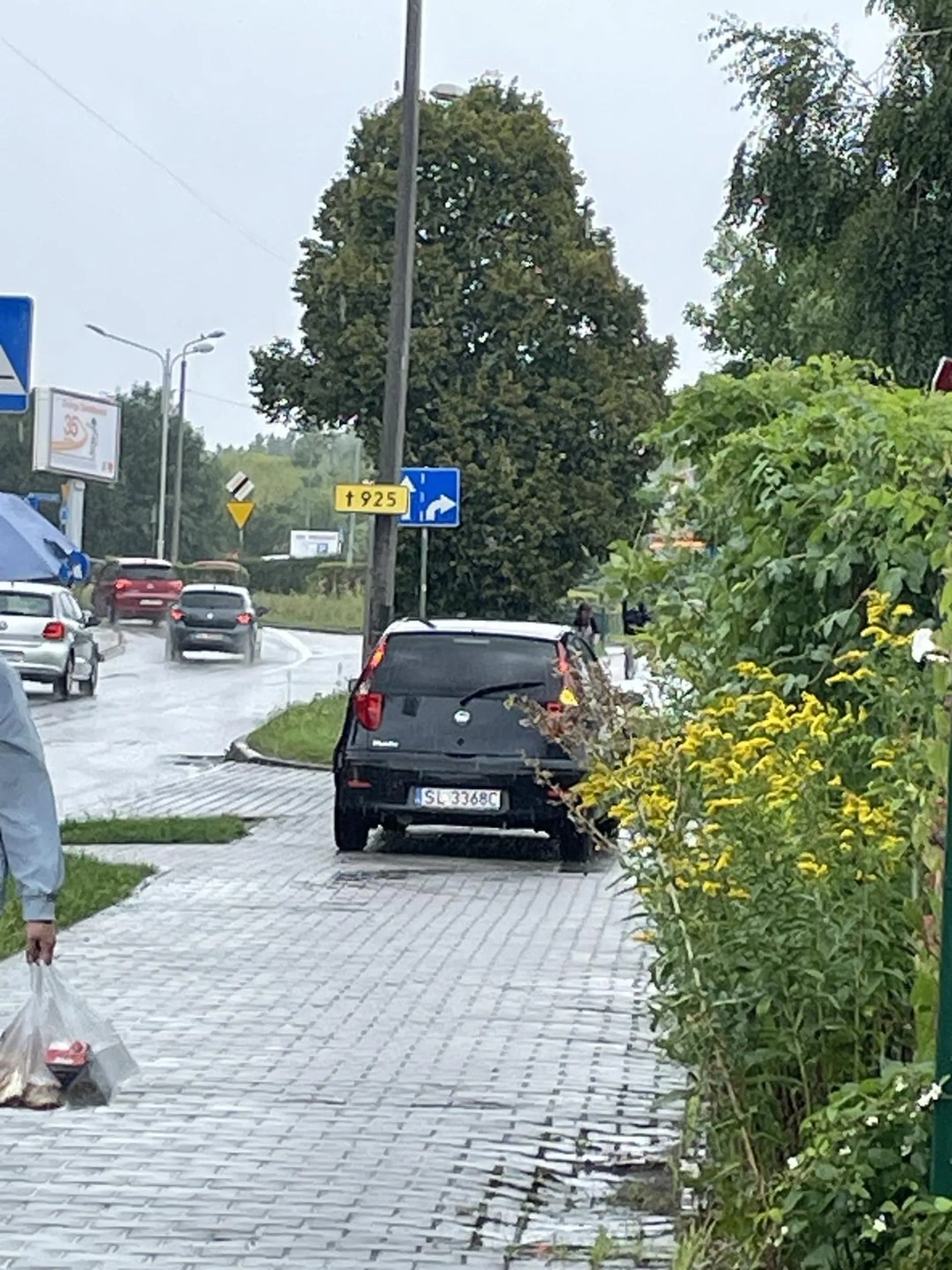 Jeździ po chodniku, gdzie chodzą piesi