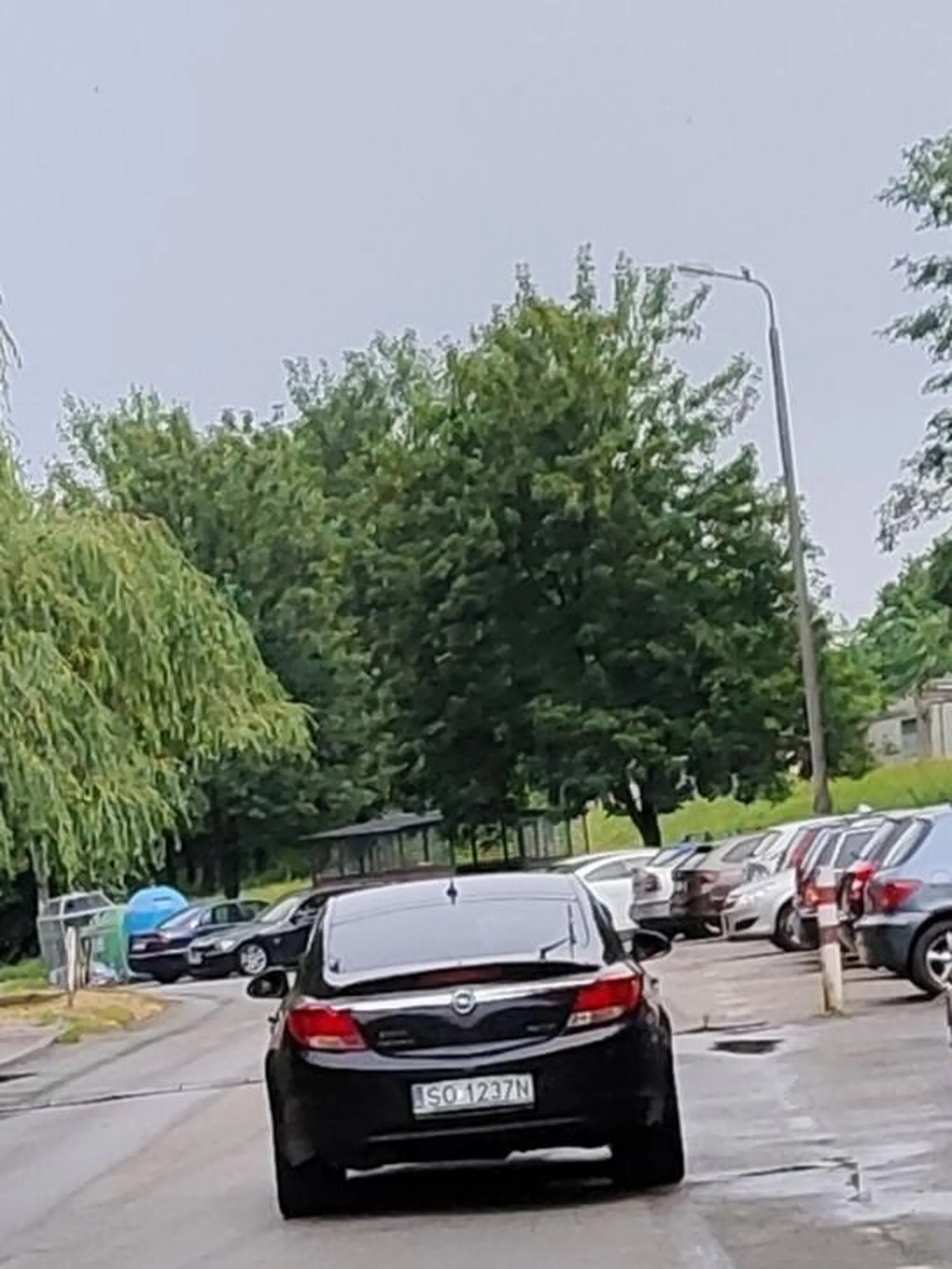 Ćwok, dość że zadrapał auto to się stawia bo ma 2 m i 120 kg.