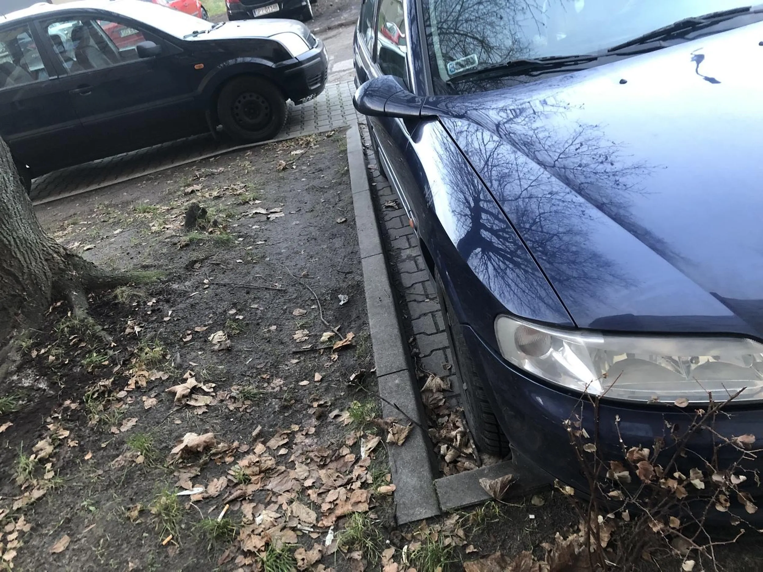 Kierowca parkuje jak poniżej: