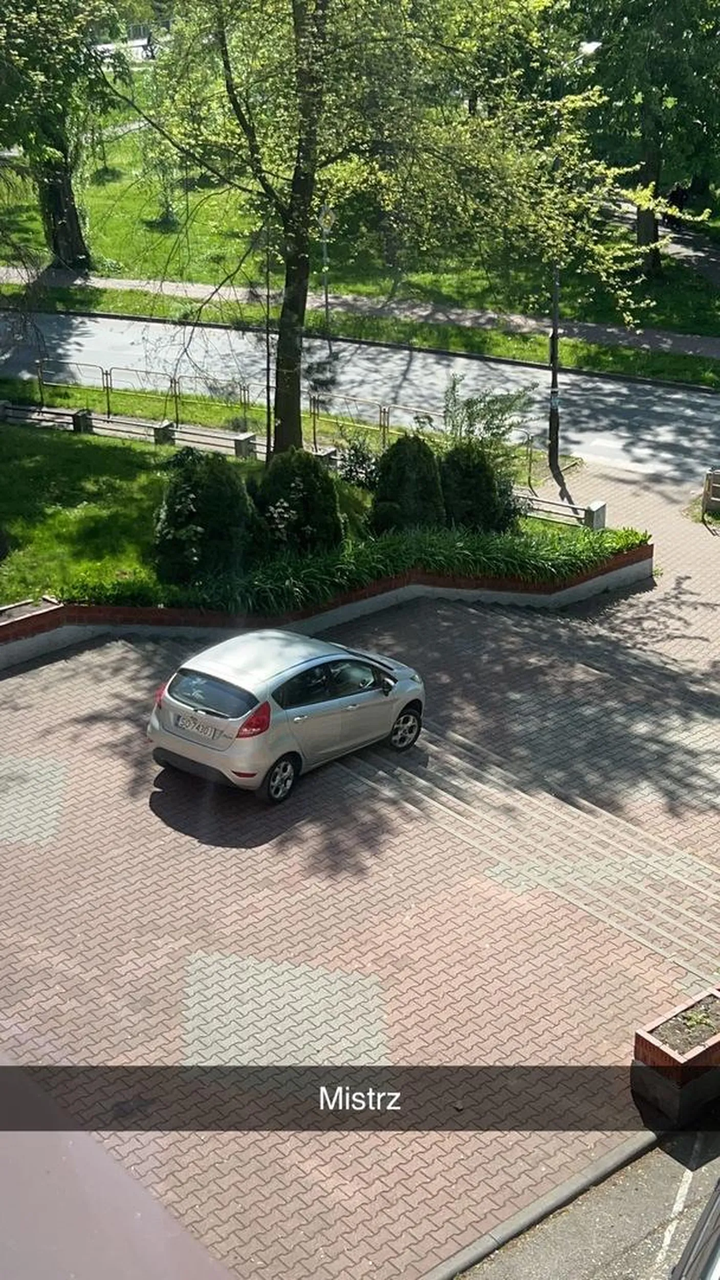 Mistrzyni kierownicy