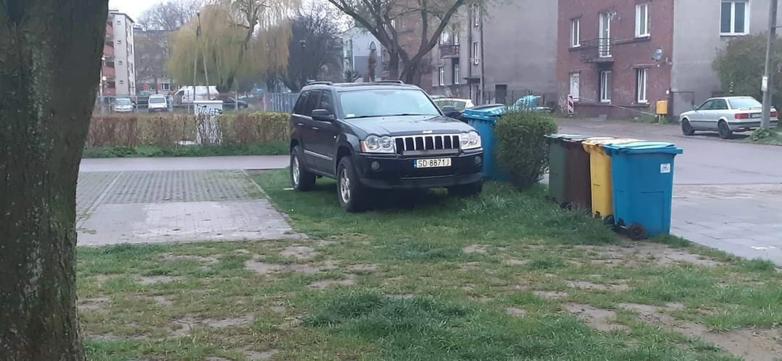 na zielonym najlepiej