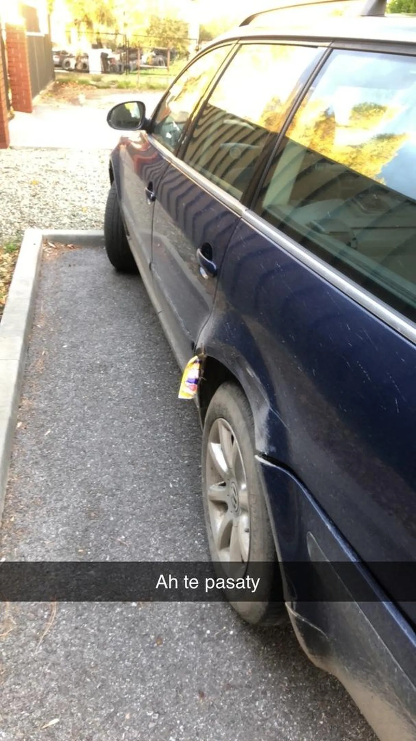 Typowy kierowca passata duży cham z niego na drodze i parkuje krziwo wraz z śmieciami w błotniku…