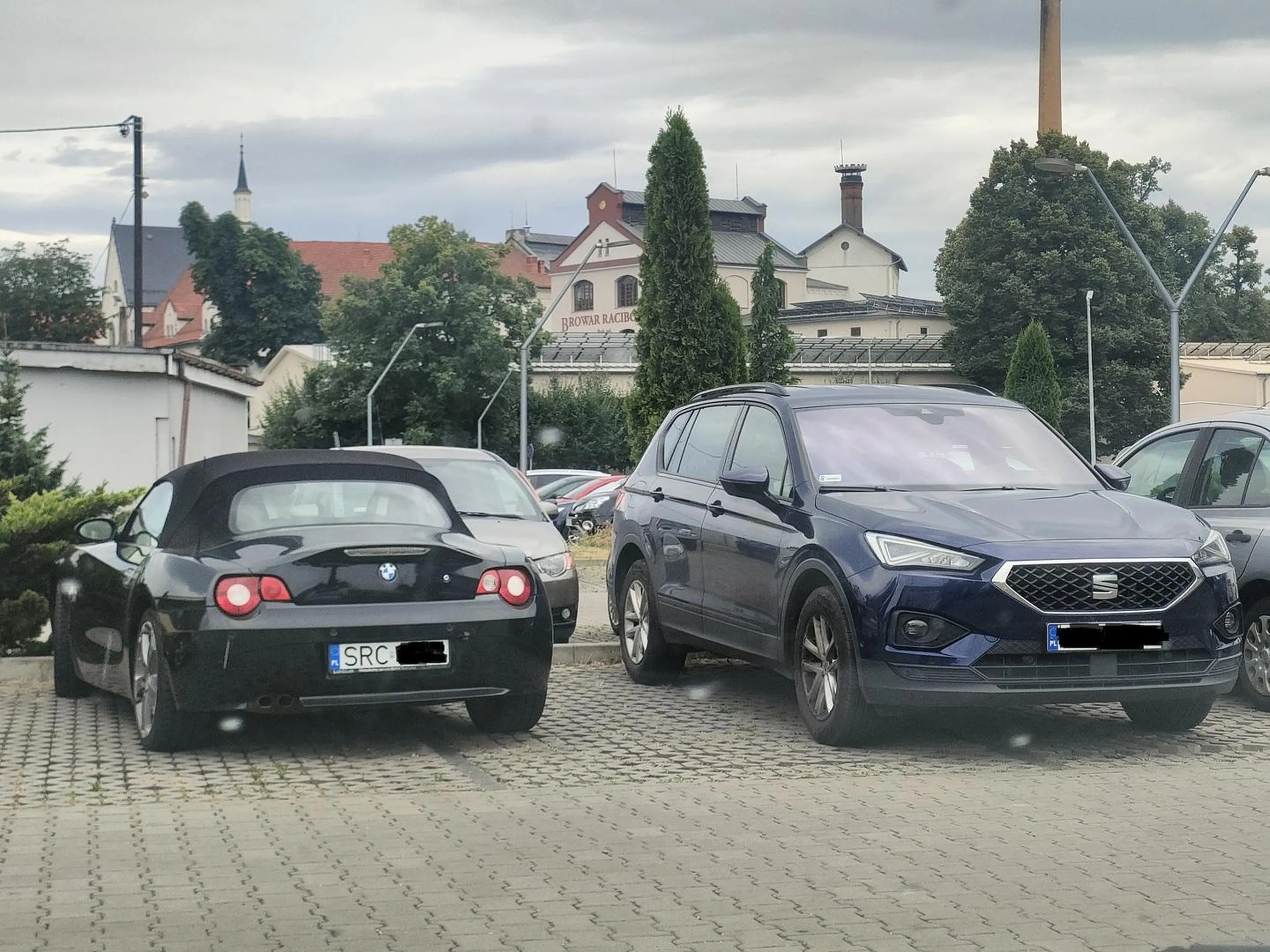 Gratulacje za parkowanie, karty ptaszek :v