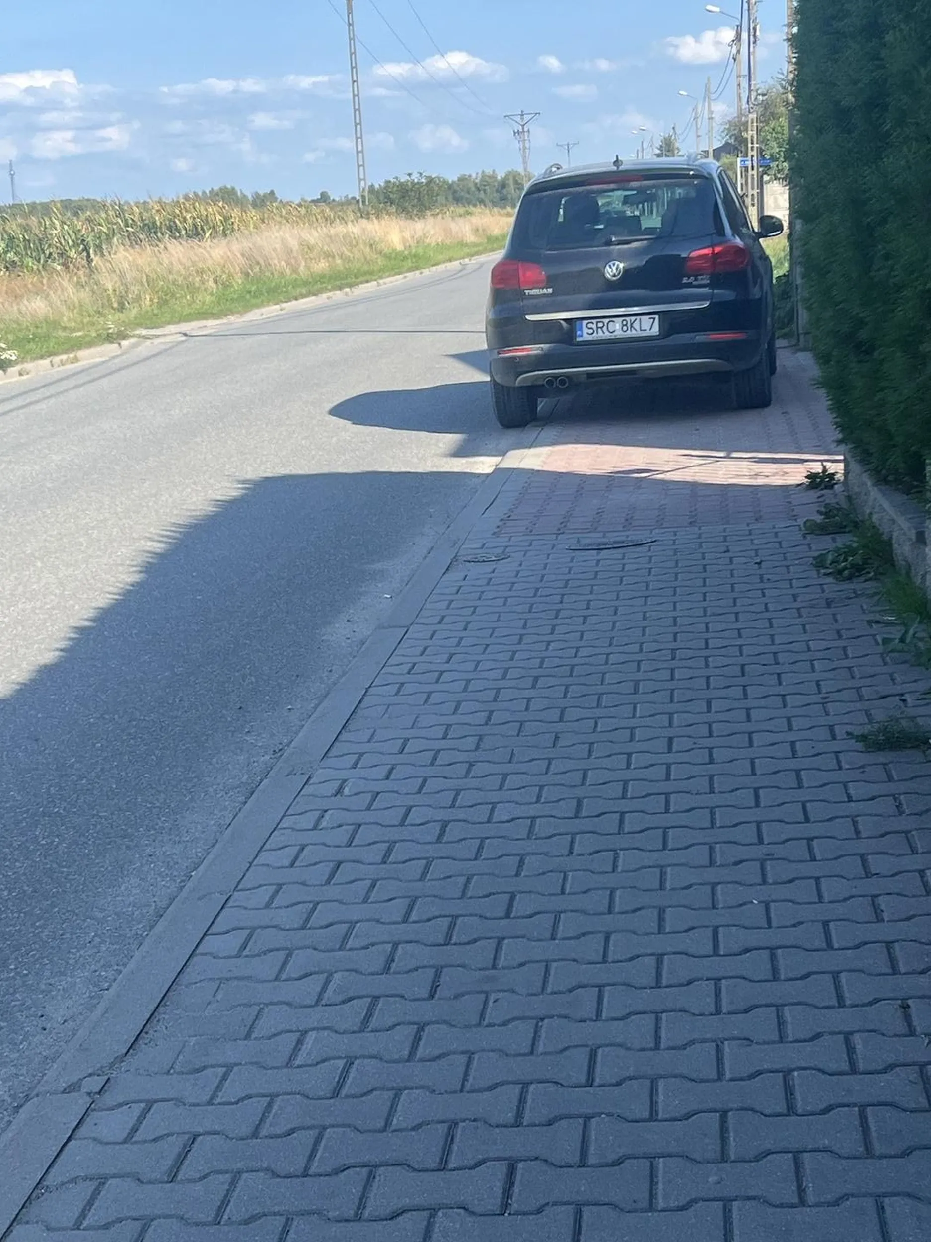 Nie potrafi parkowac zostawia 20 cm chodnika chyba dla kota ;) nie polecam