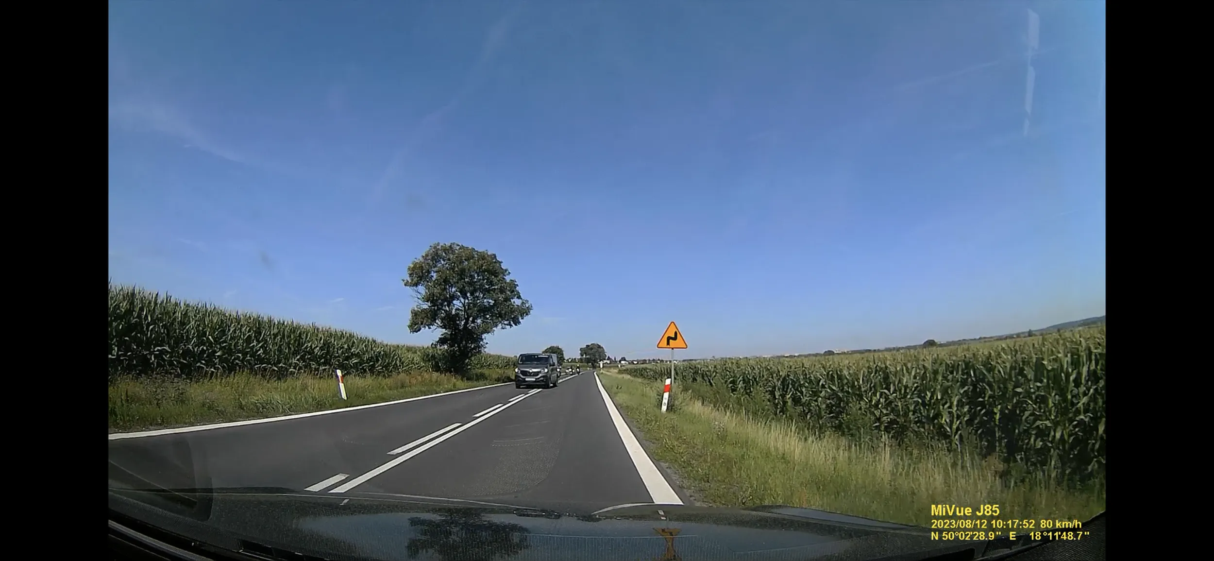 Szkoda strzępić ryja