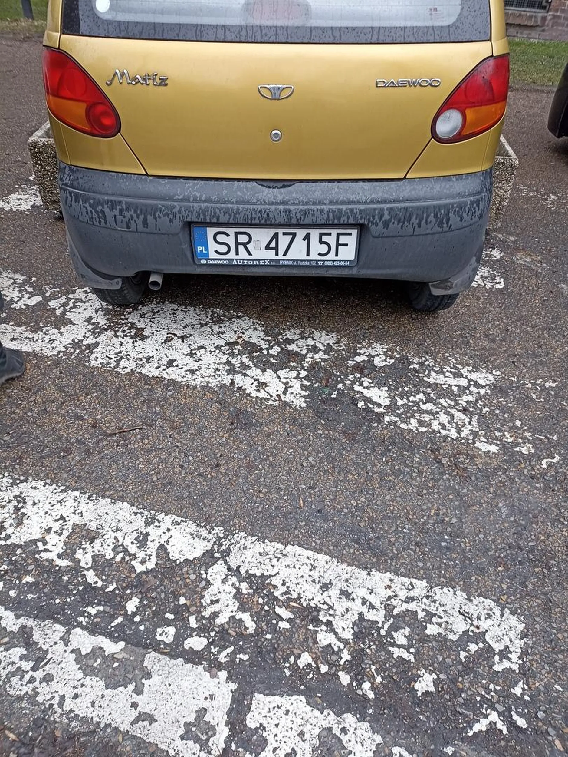 Uporczywe parkowanie na pasach