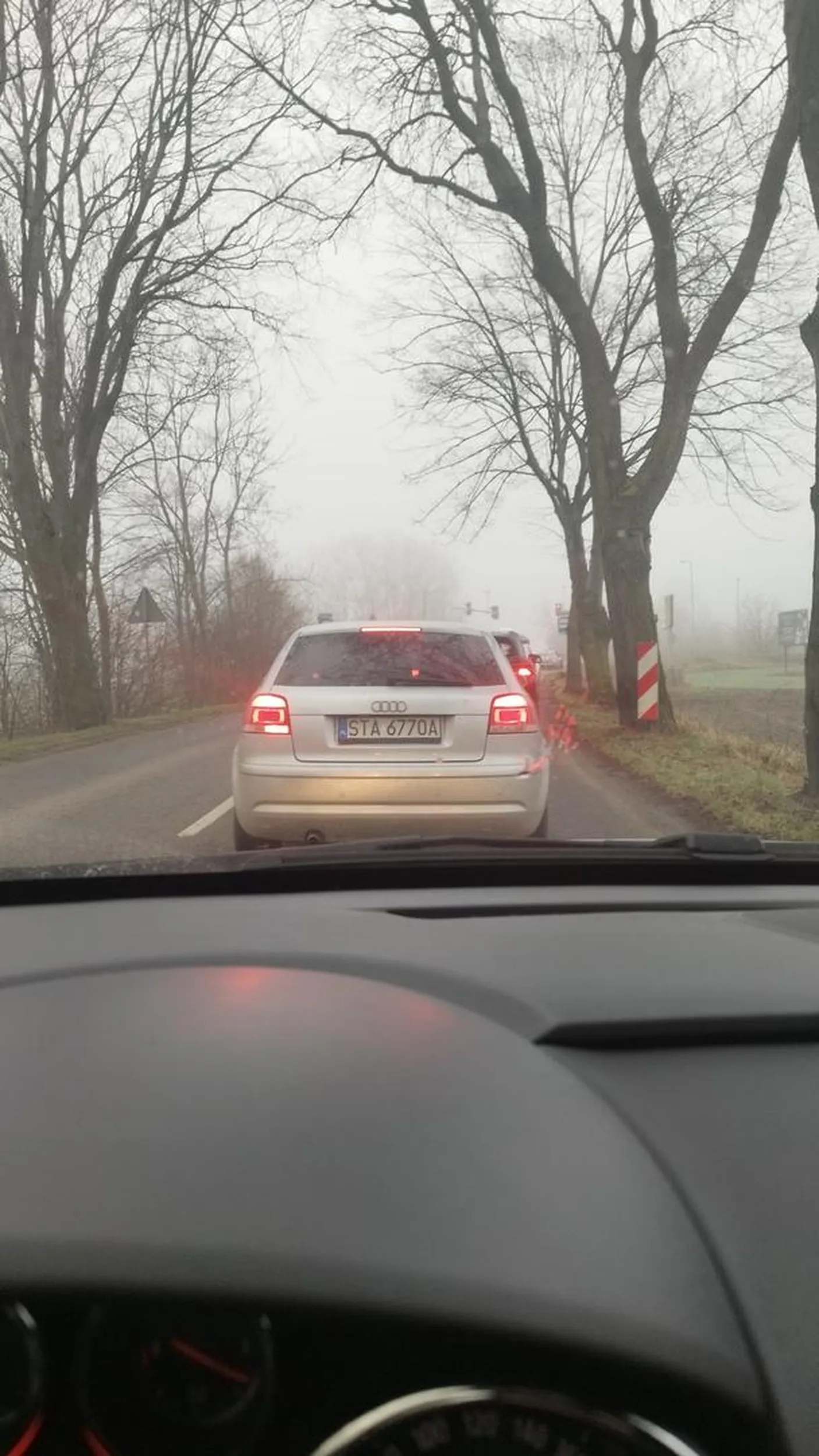 Jedzie cały czas w kolumnie samochodów z włączonym światłem przeciwmgielnym, mijając ją oczywiście telefon w ręce...