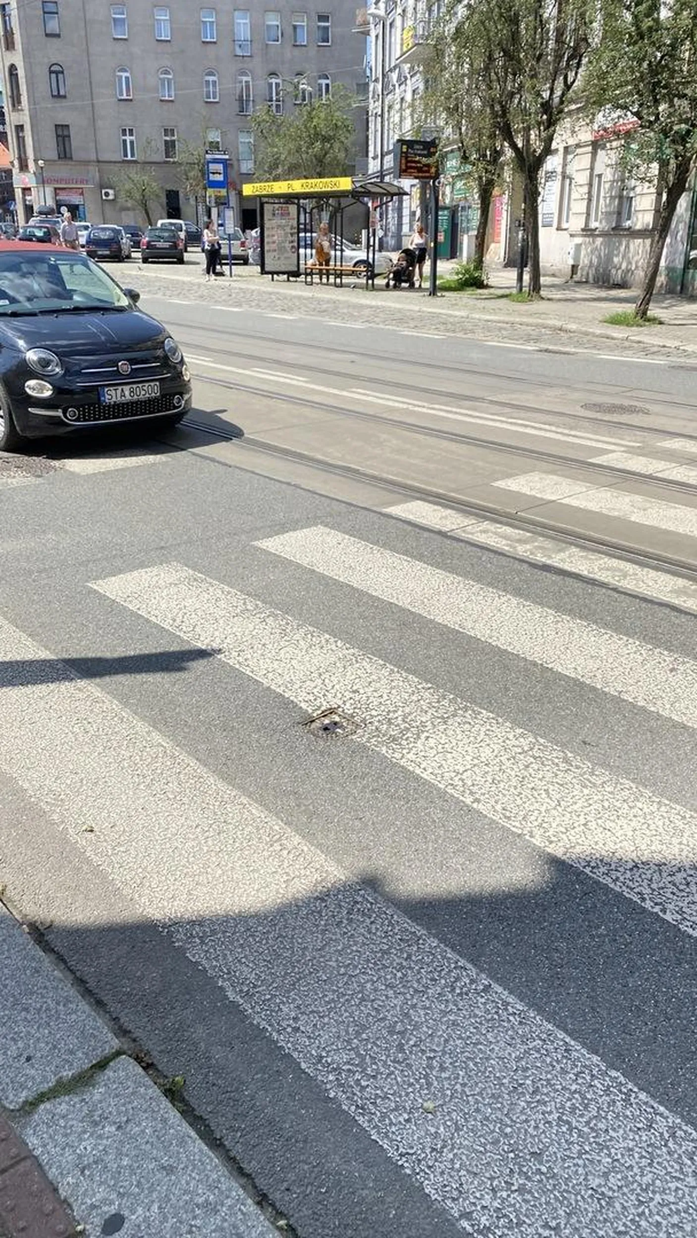 Ameba umysłowa, co nie zatrzymuje się przed przejściem dla pieszych.