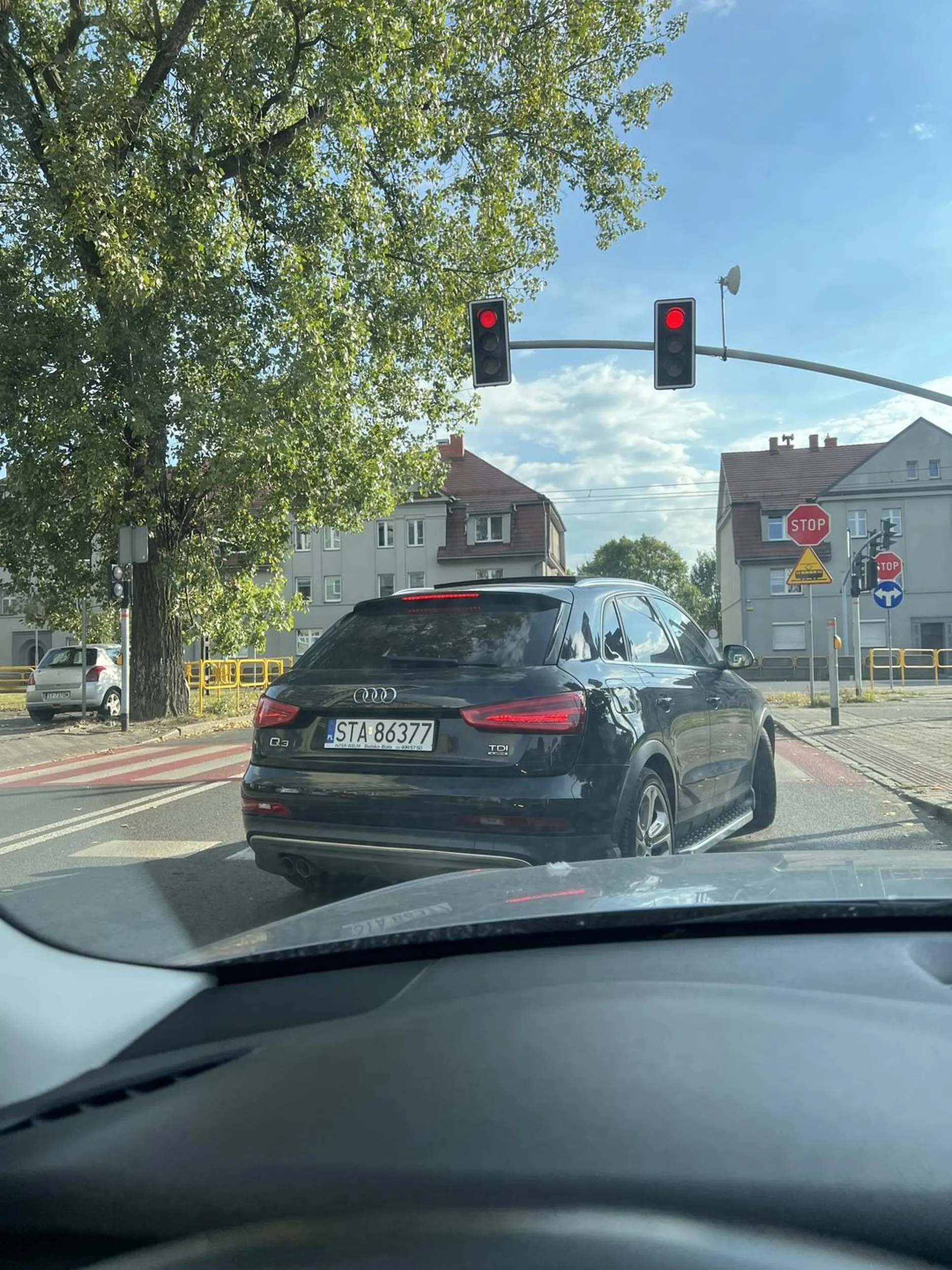 po co zajac jeden pas jak mozna dwa!