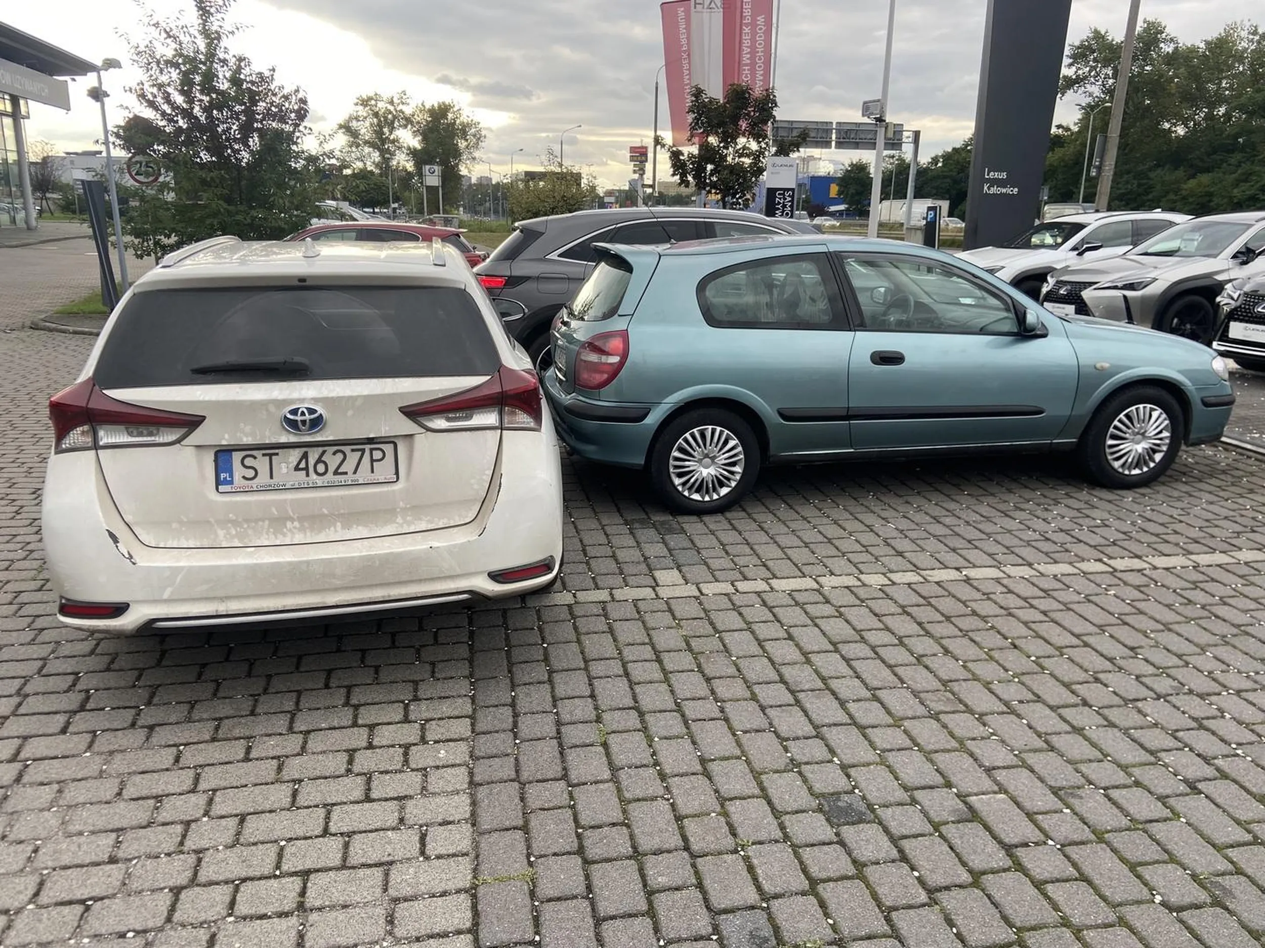 „Pani” nie potrafiąca parkować w miejscach parkingowych