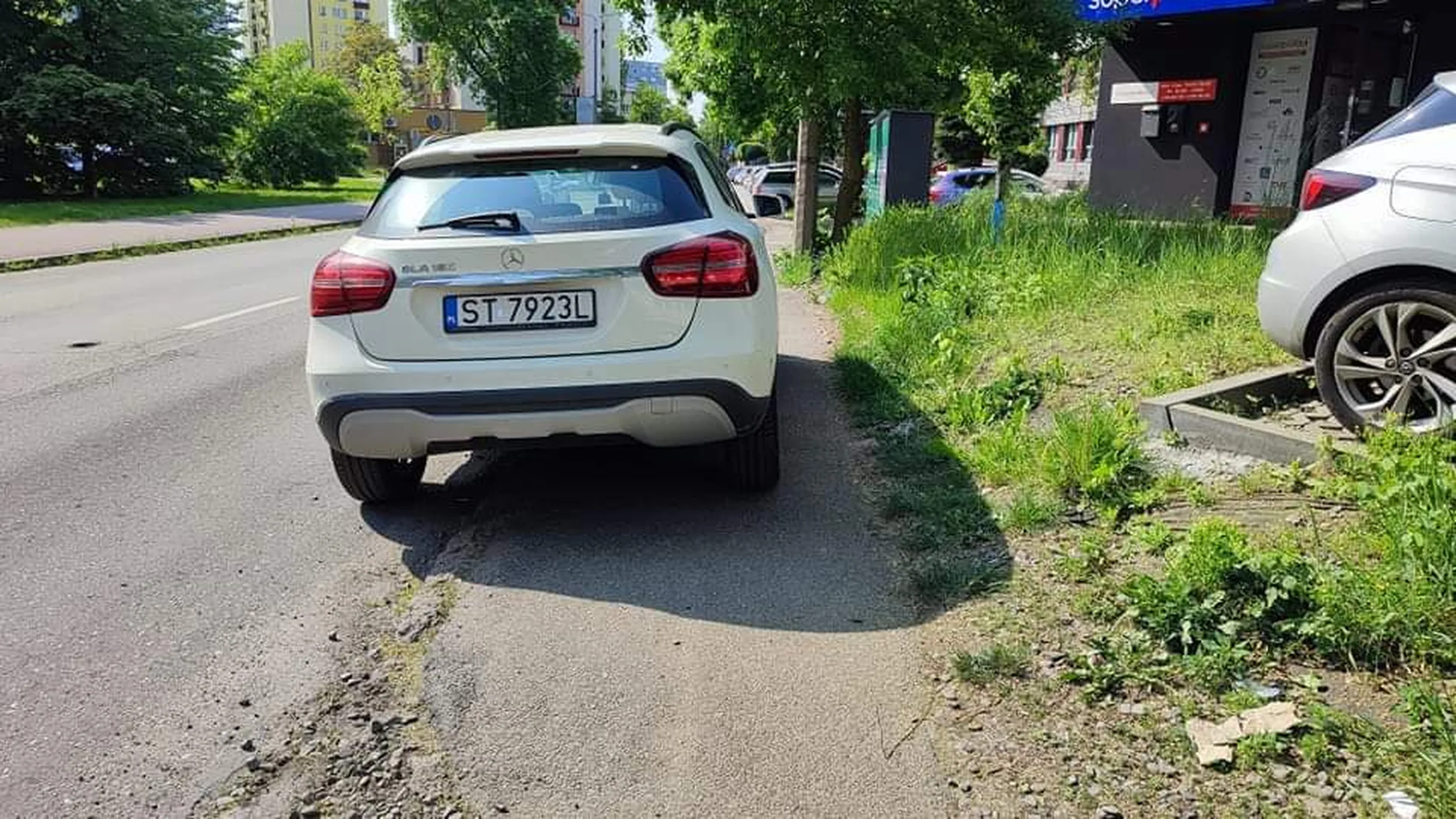 Cały chodniczek mój :)