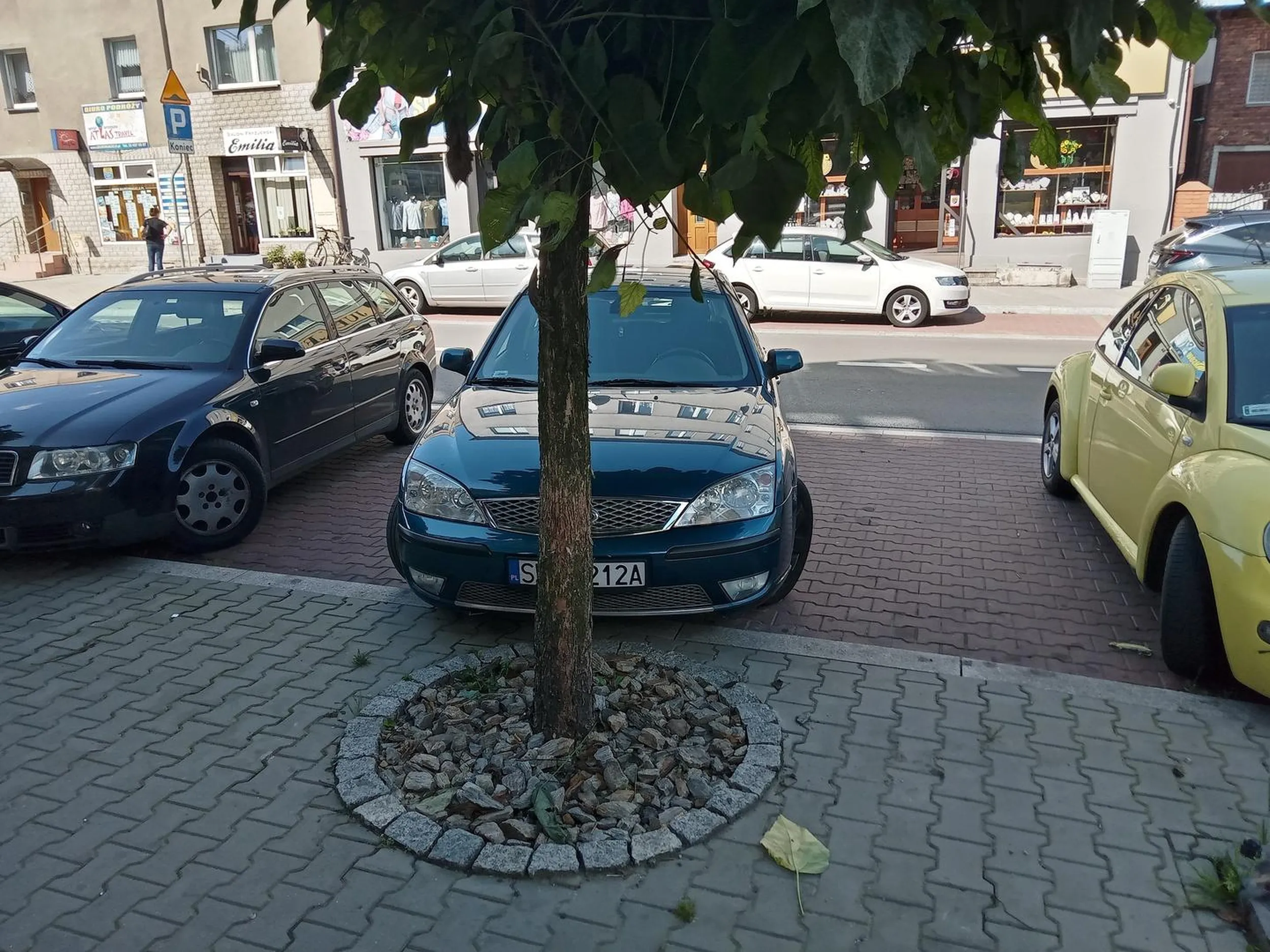 Widać, że rejestracja zobowiązuje