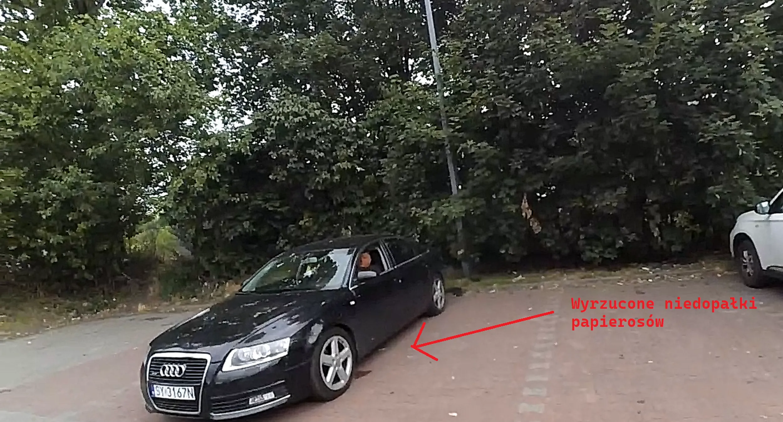 Śmierdzielu zafajdany, tak trudno było Ci wyrzucić  papierosa? Poproszony o wyrzucenie niedopałka odmówiłeś. No to złożysz zeznania na Policji za swoje gburowate zachowanie opryskliwy chamie.